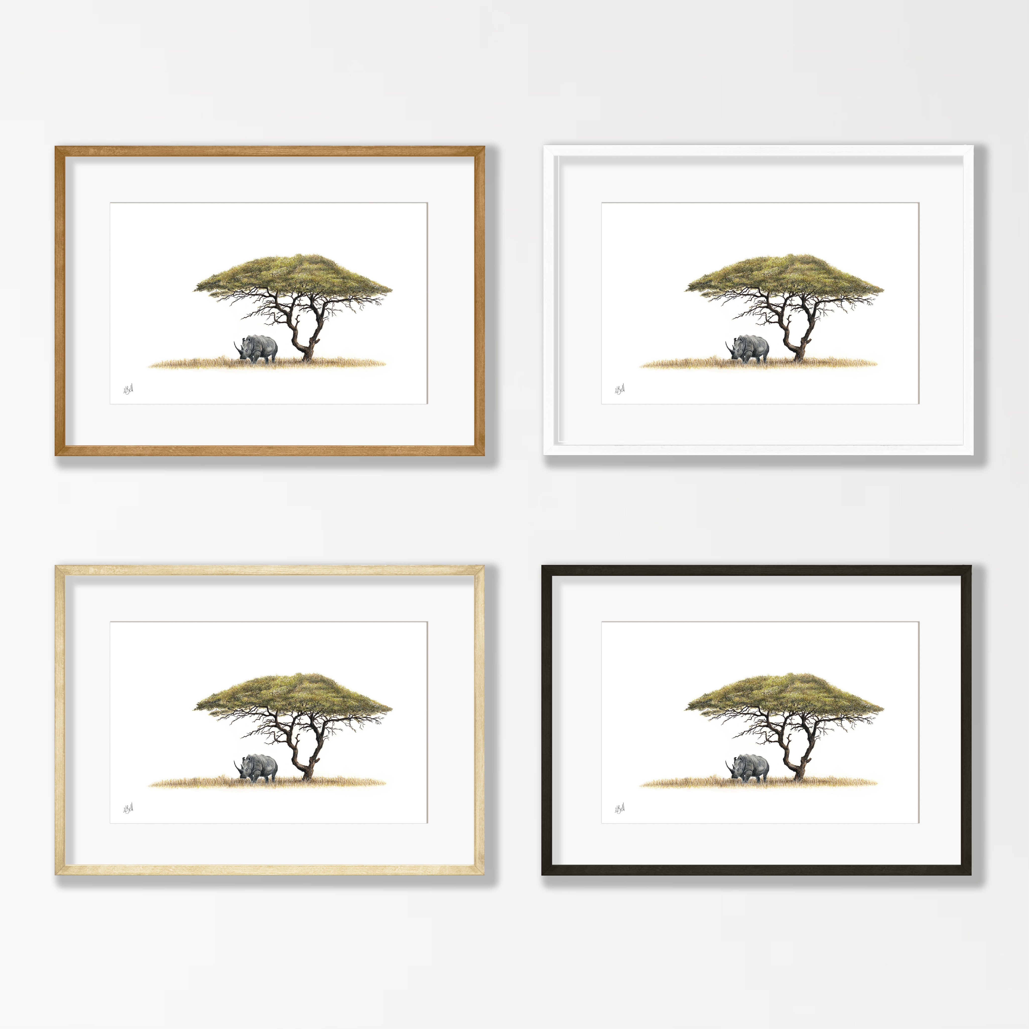 Acacia Tree and White Rhino - AT1