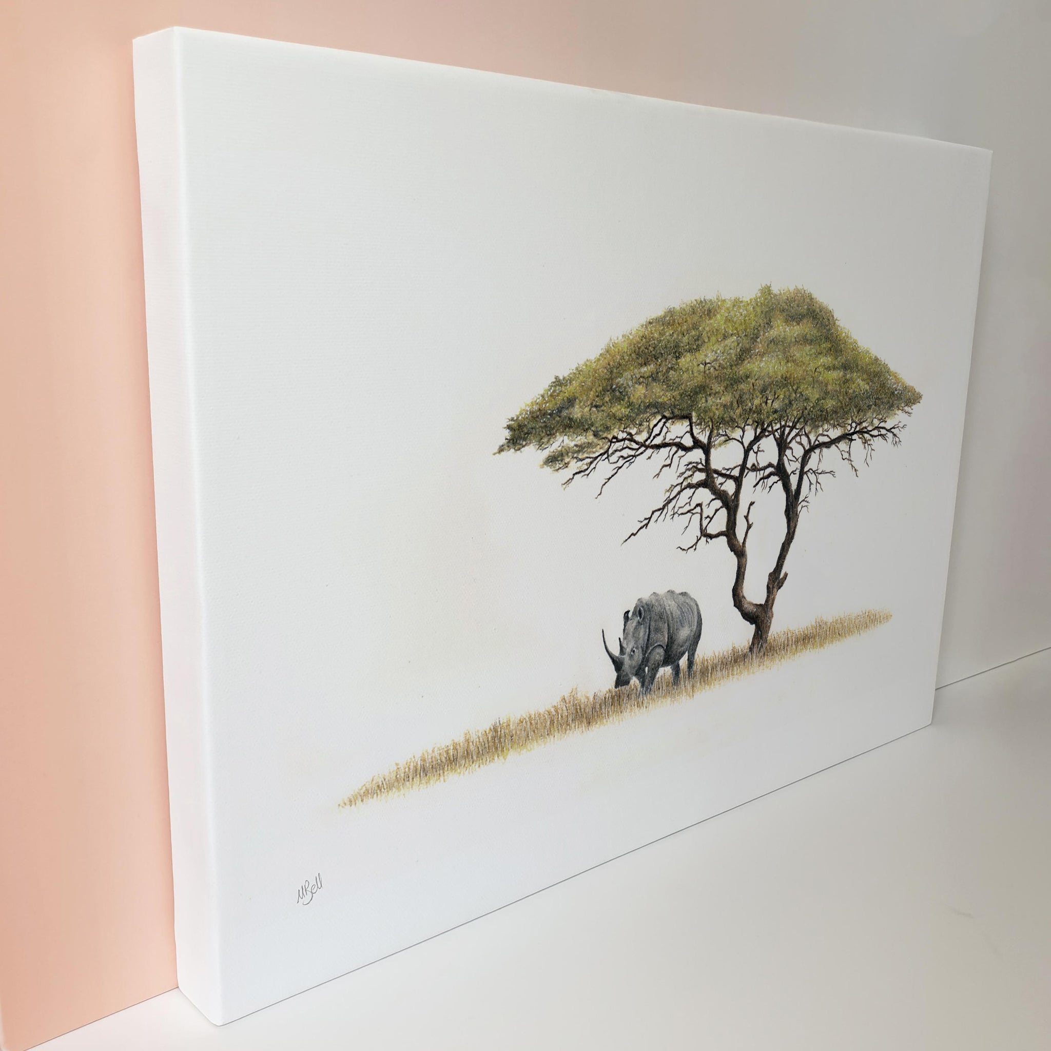 Acacia Tree and African white rhino under an Acacia Tree