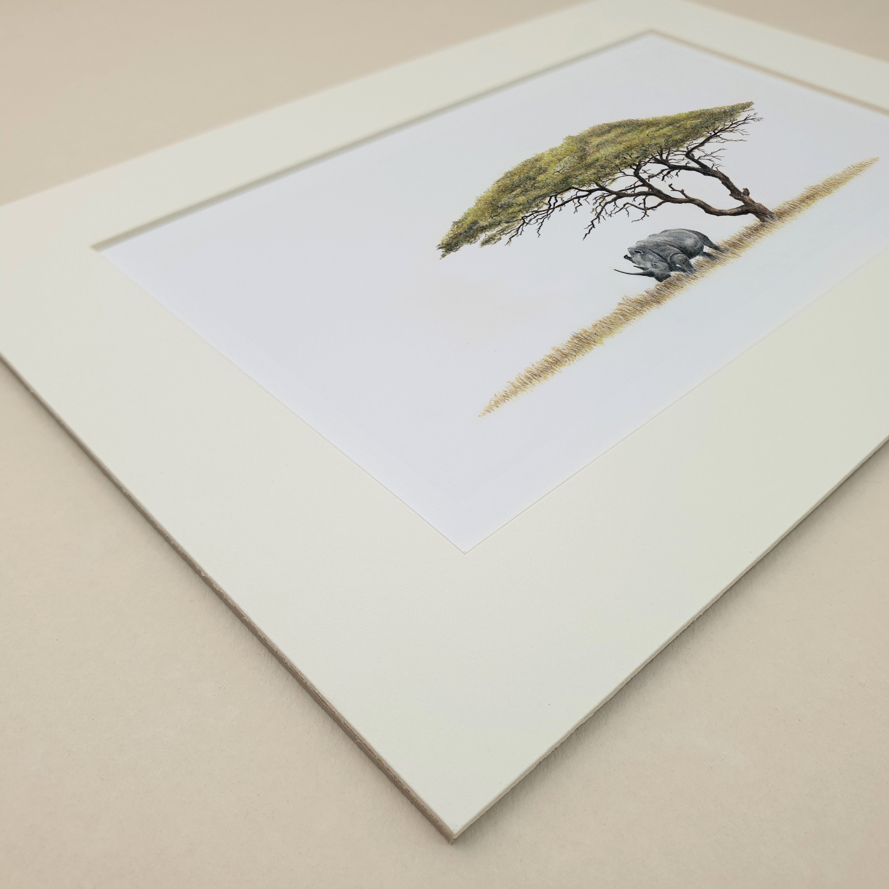 White Rhino underneath Camel Thorn Acacia Tree pencil artwork