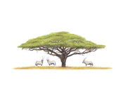 Acacia Tree and Gemsbok