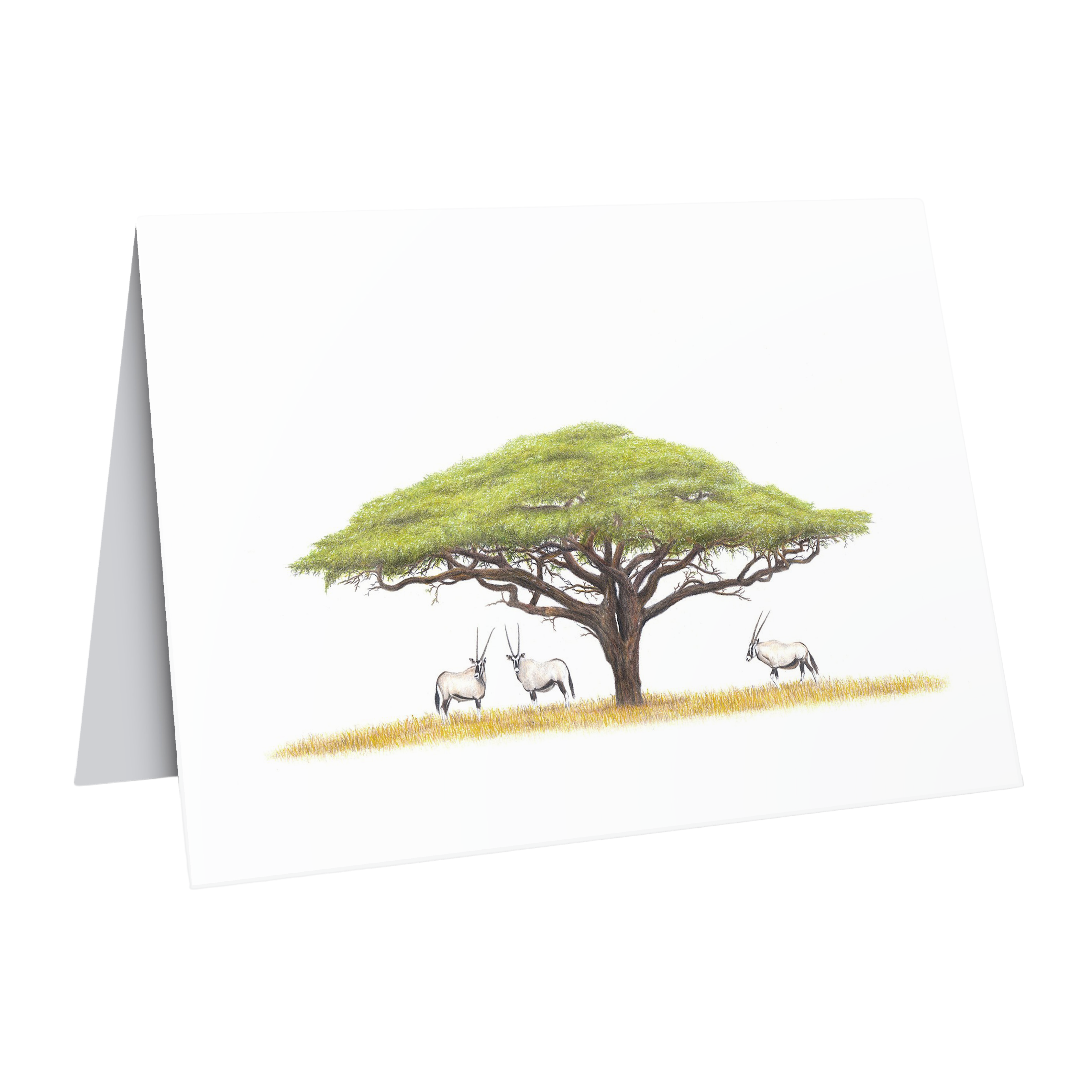 Acacia Tree and Gemsbok Greeting Card - AT2