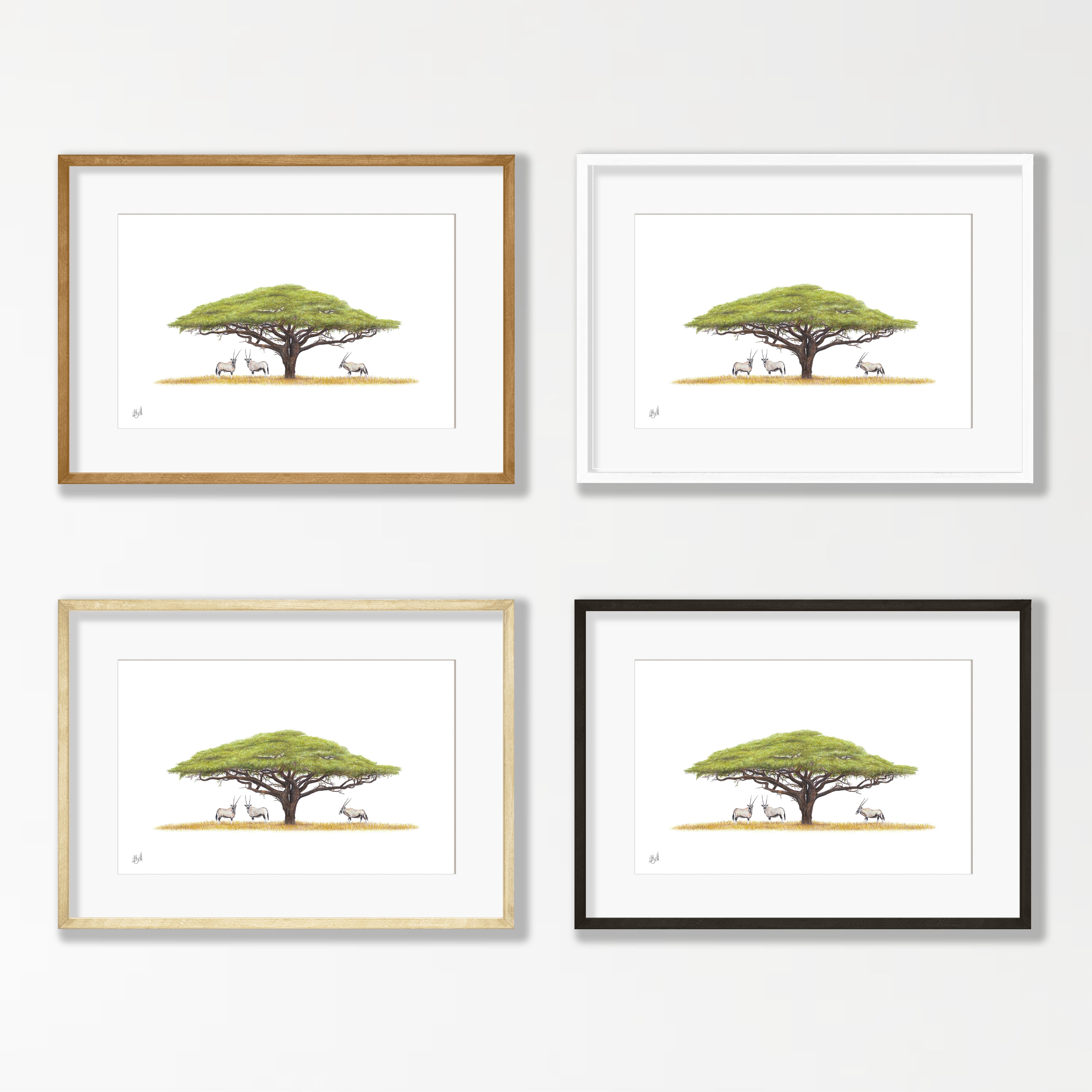 Acacia Tree and Gemsbok - AT2