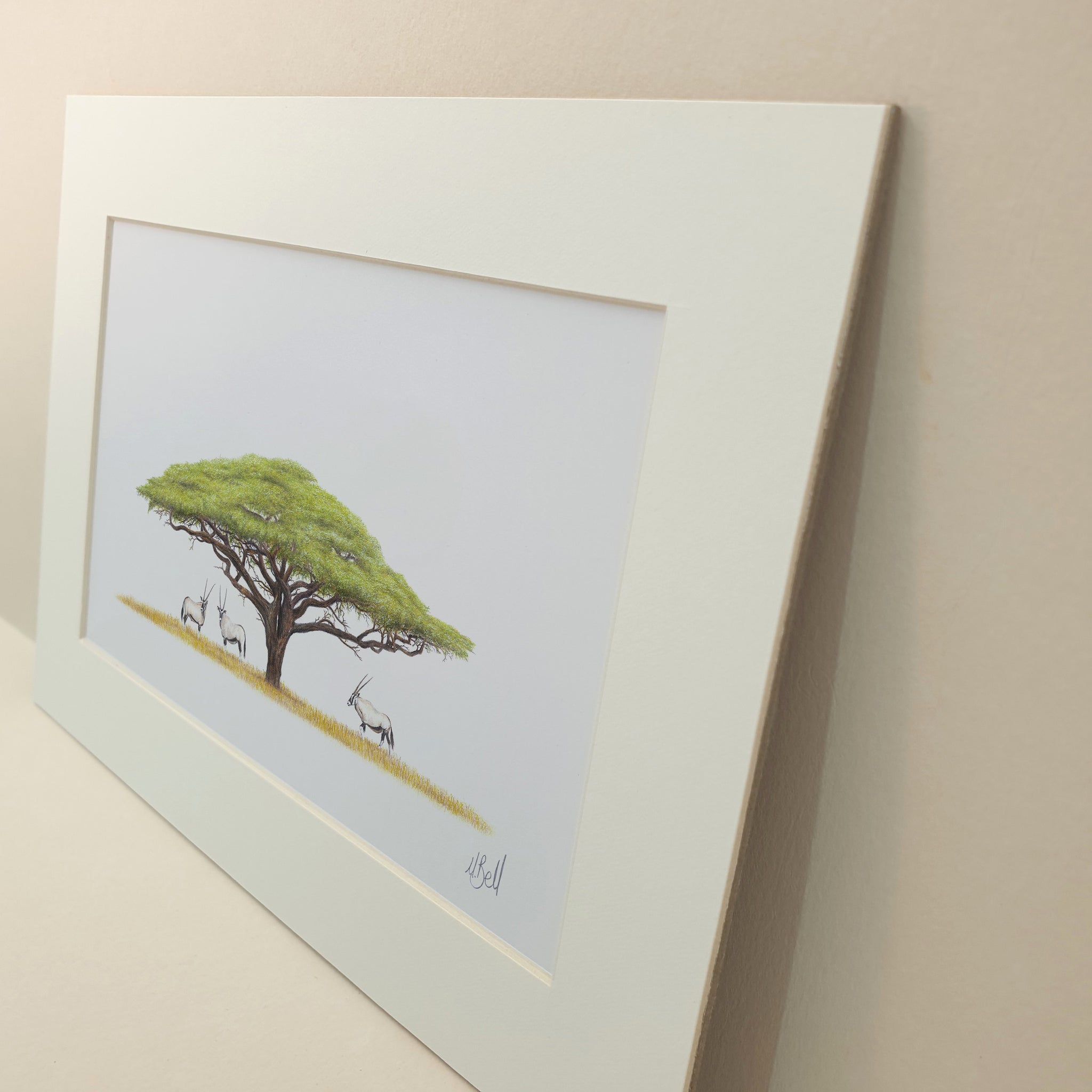 Acacia Tree with Gemsbok 