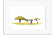 Acacia Tree and Bull Elephant - AT4