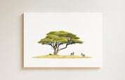 Acacia Tree and Zebras (AT5) on Canvas