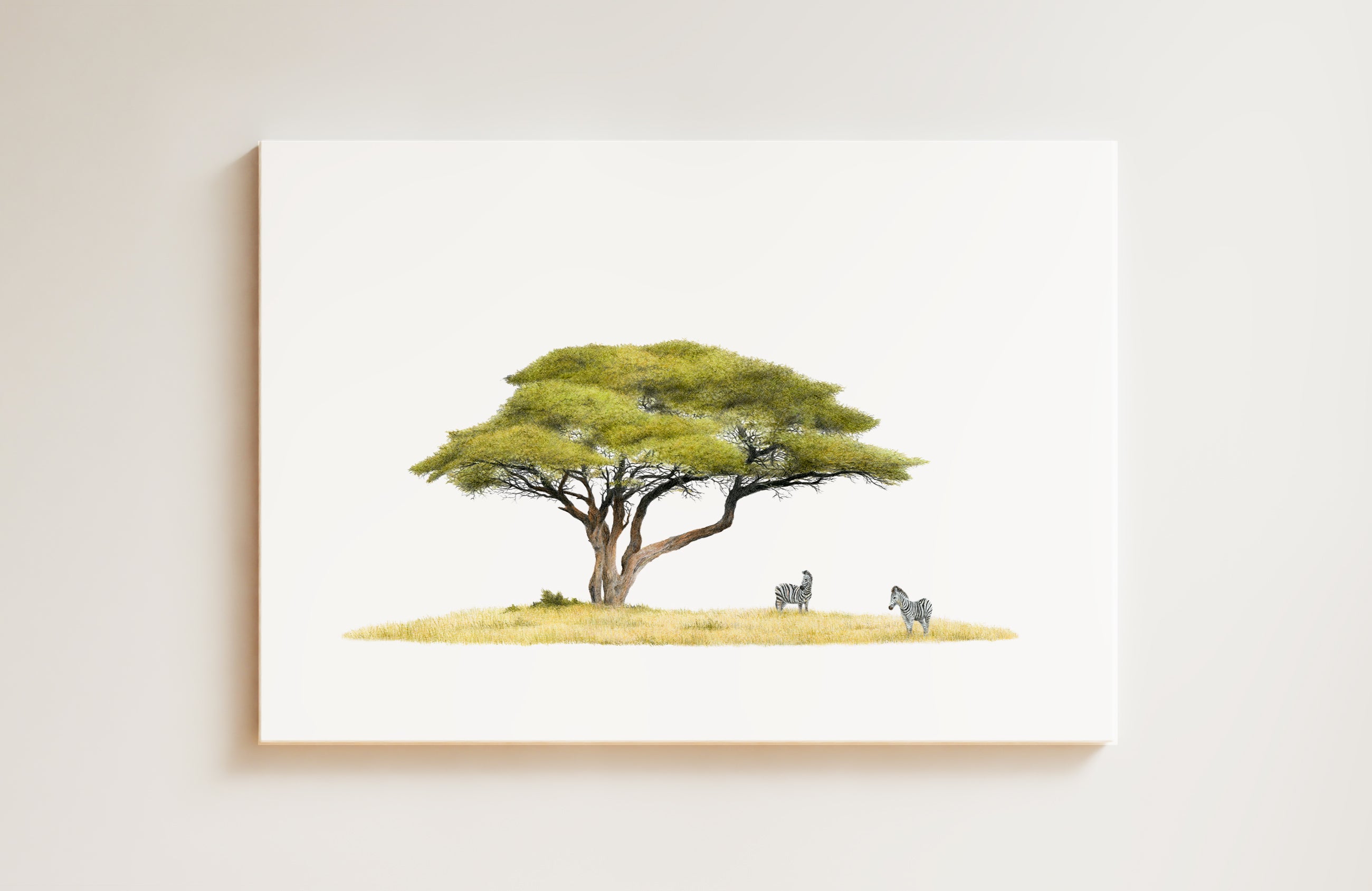 Acacia Tree and Zebras (AT5) on Canvas