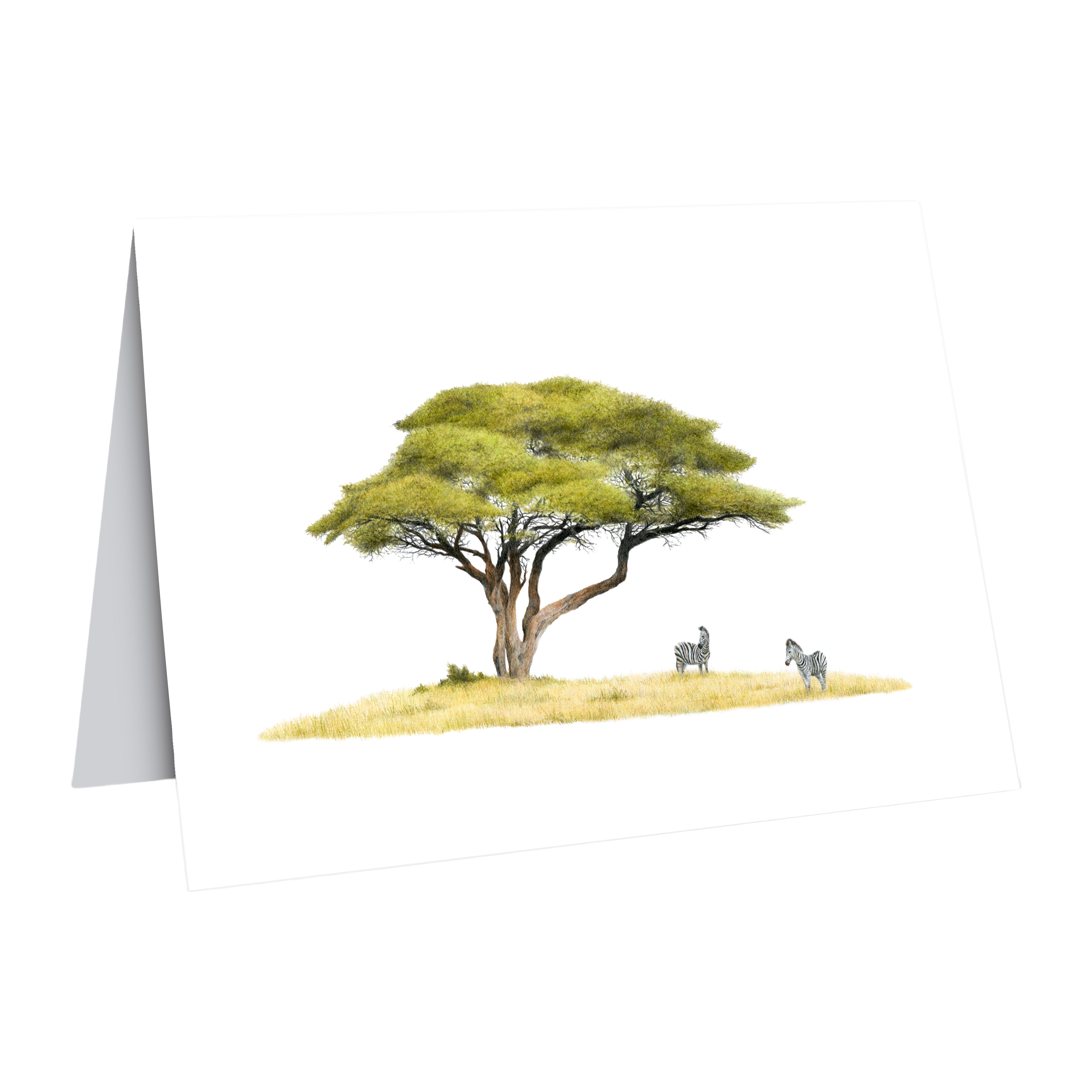 Acacia Trees and Zebras Greeting Card - AT5