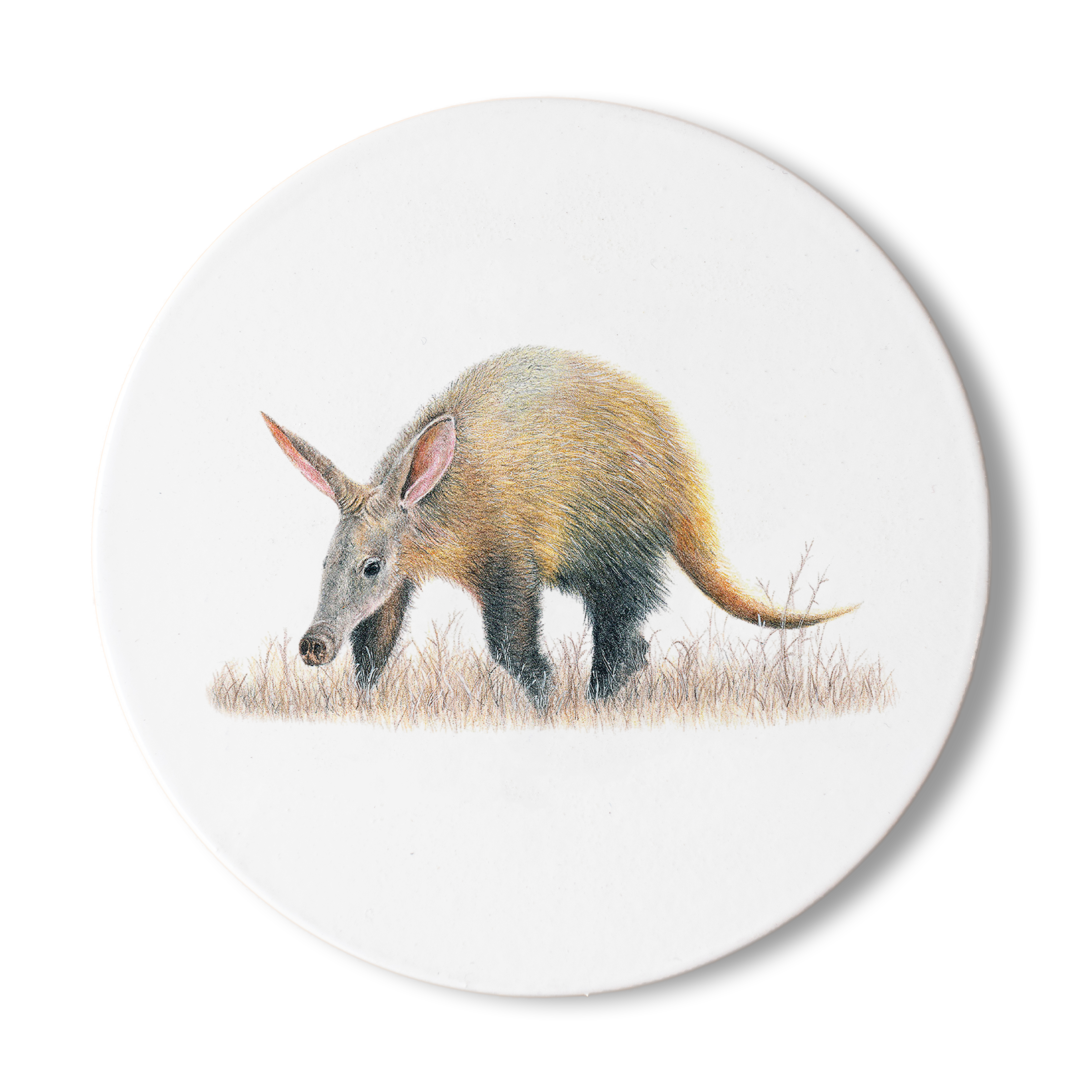 Aardvark Wooden Coaster - AV1