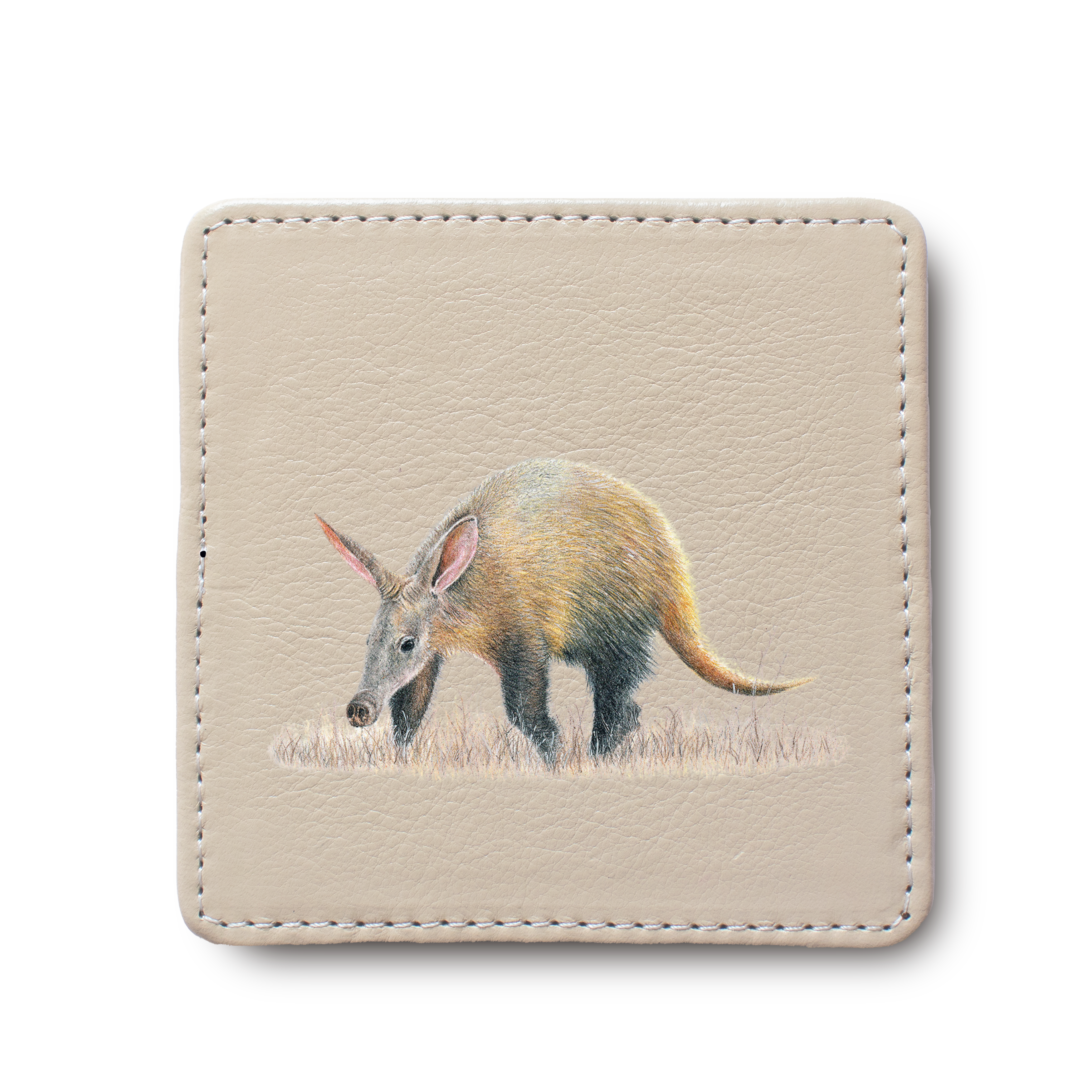 Aardvark animal leather coaster by South African wildlife artist Matthew Bell