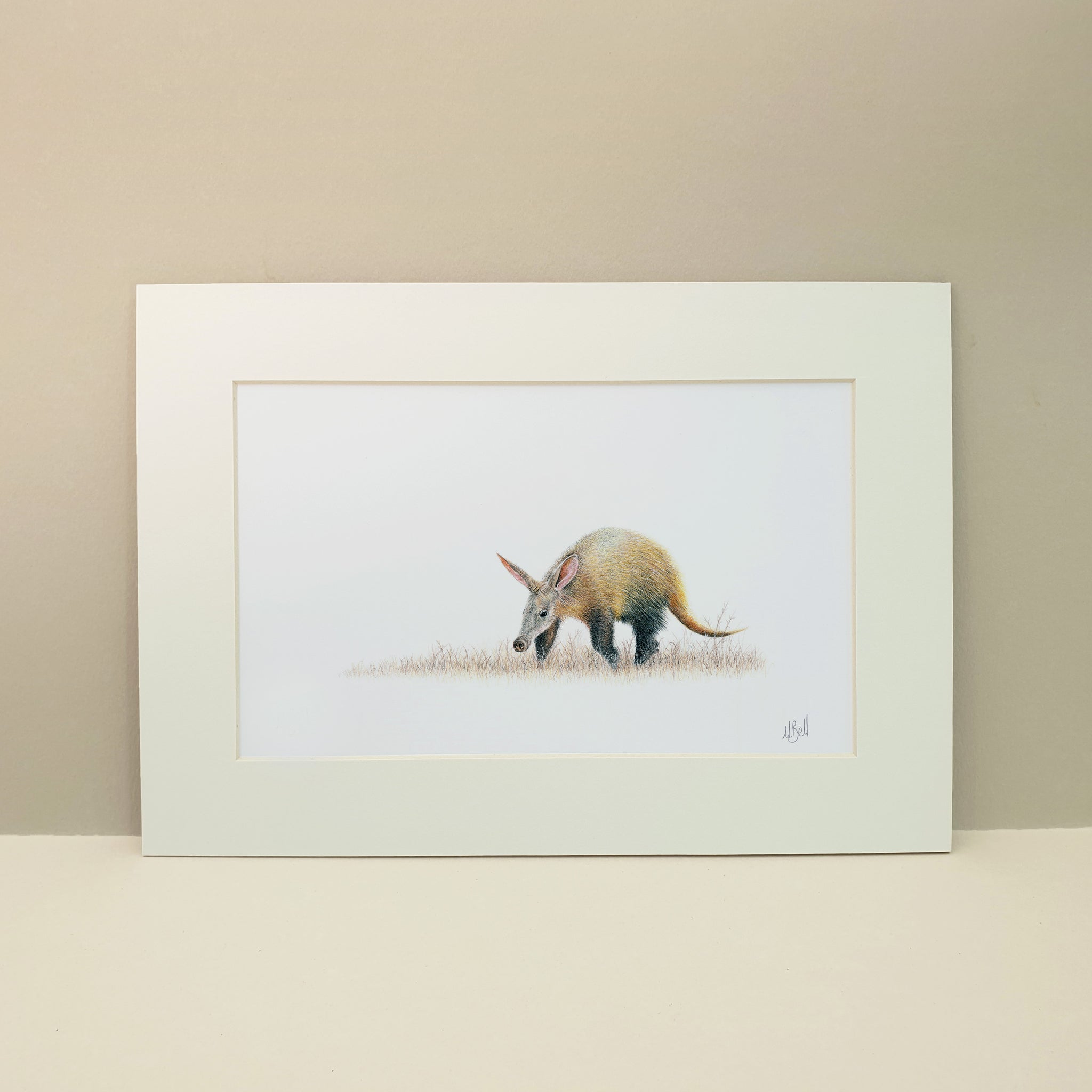 Aardvark artwork print
