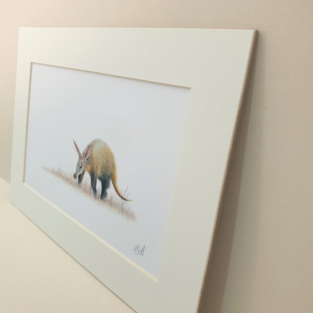 Aardvark painting