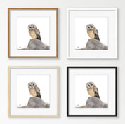 African Wood Owl - AWO