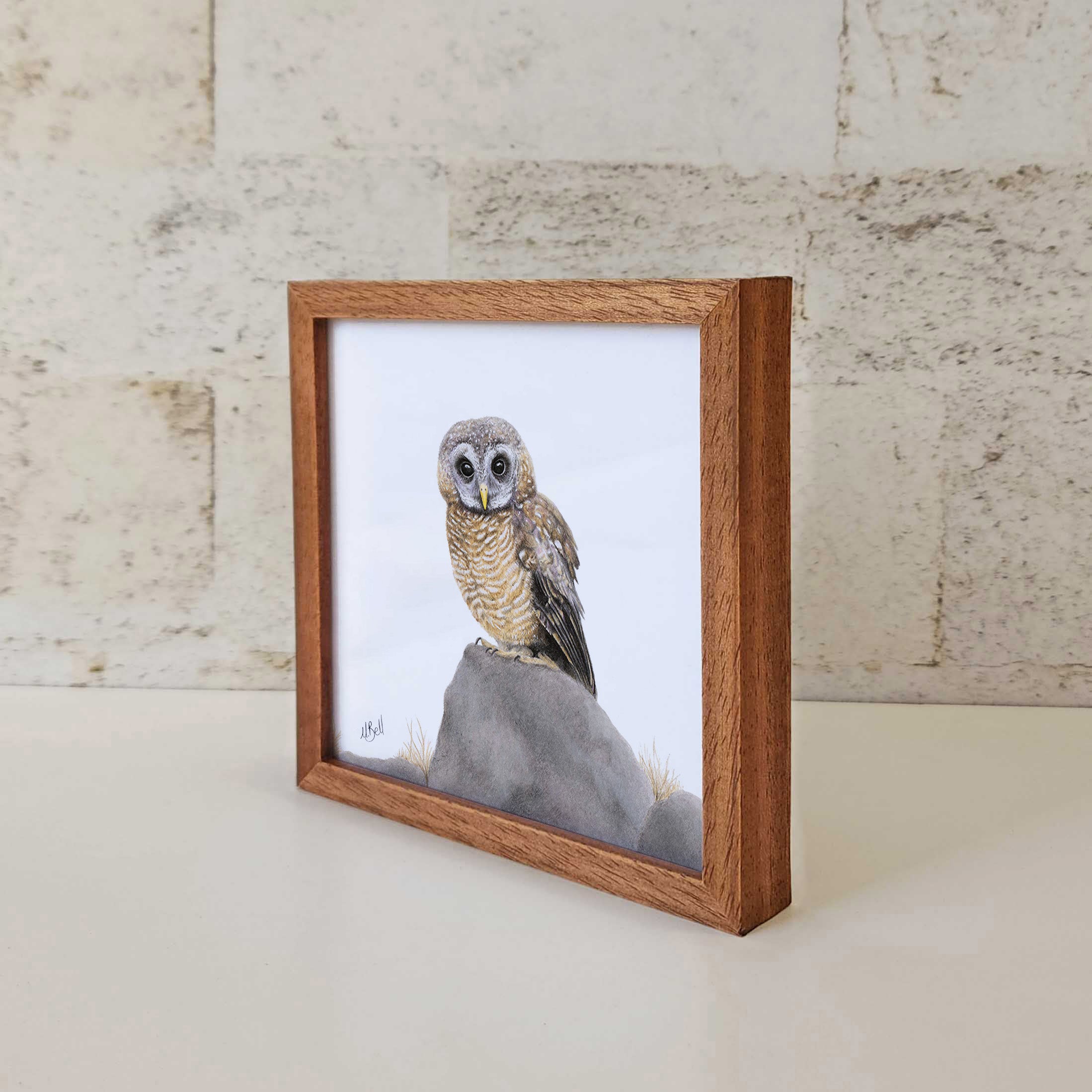 Kiaat wood framed miniature artwork of an African Wood Owl, part of wildlife artist Matthew Bell's birds of South Africa gallery