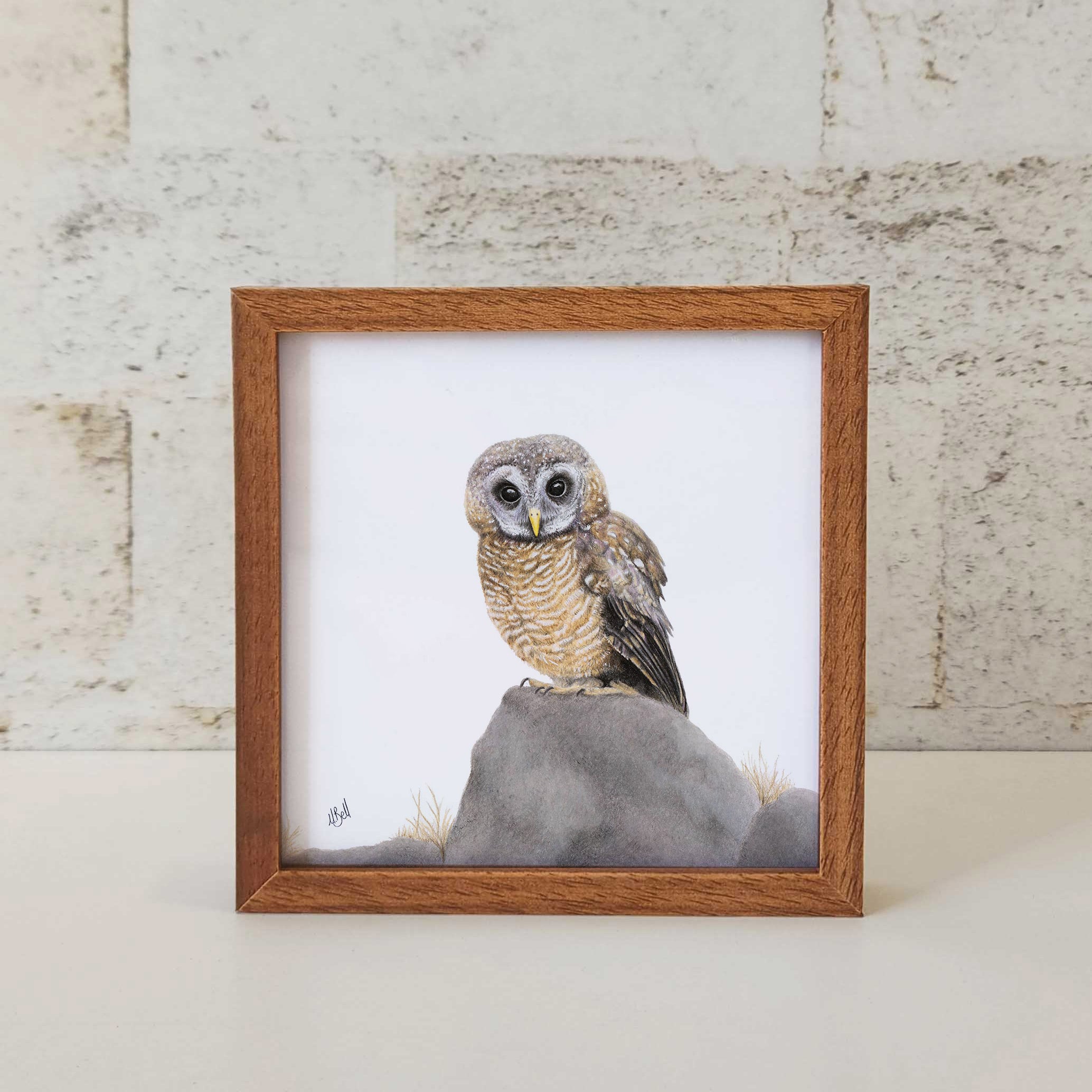 Kiaat wood framed miniature artwork of an African Wood Owl, part of wildlife artist Matthew Bell's birds of South Africa gallery