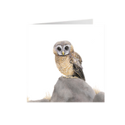 African Wood Owl Greeting Card - AWO