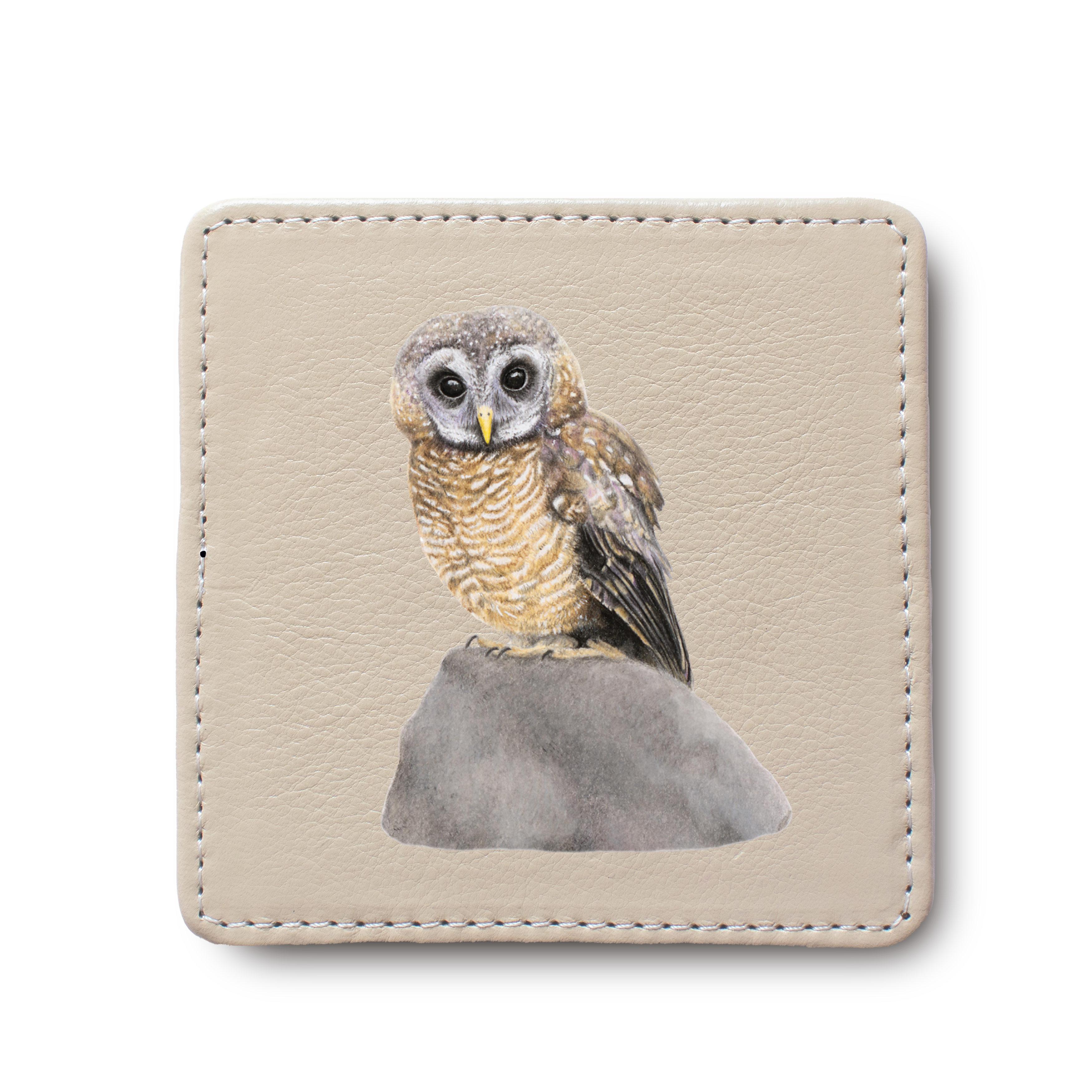 African Wood Owl Bird leather coaster by South African wildlife artist Matthew Bell