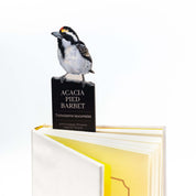 Acacia Pied Barbet Wooden Bookmark