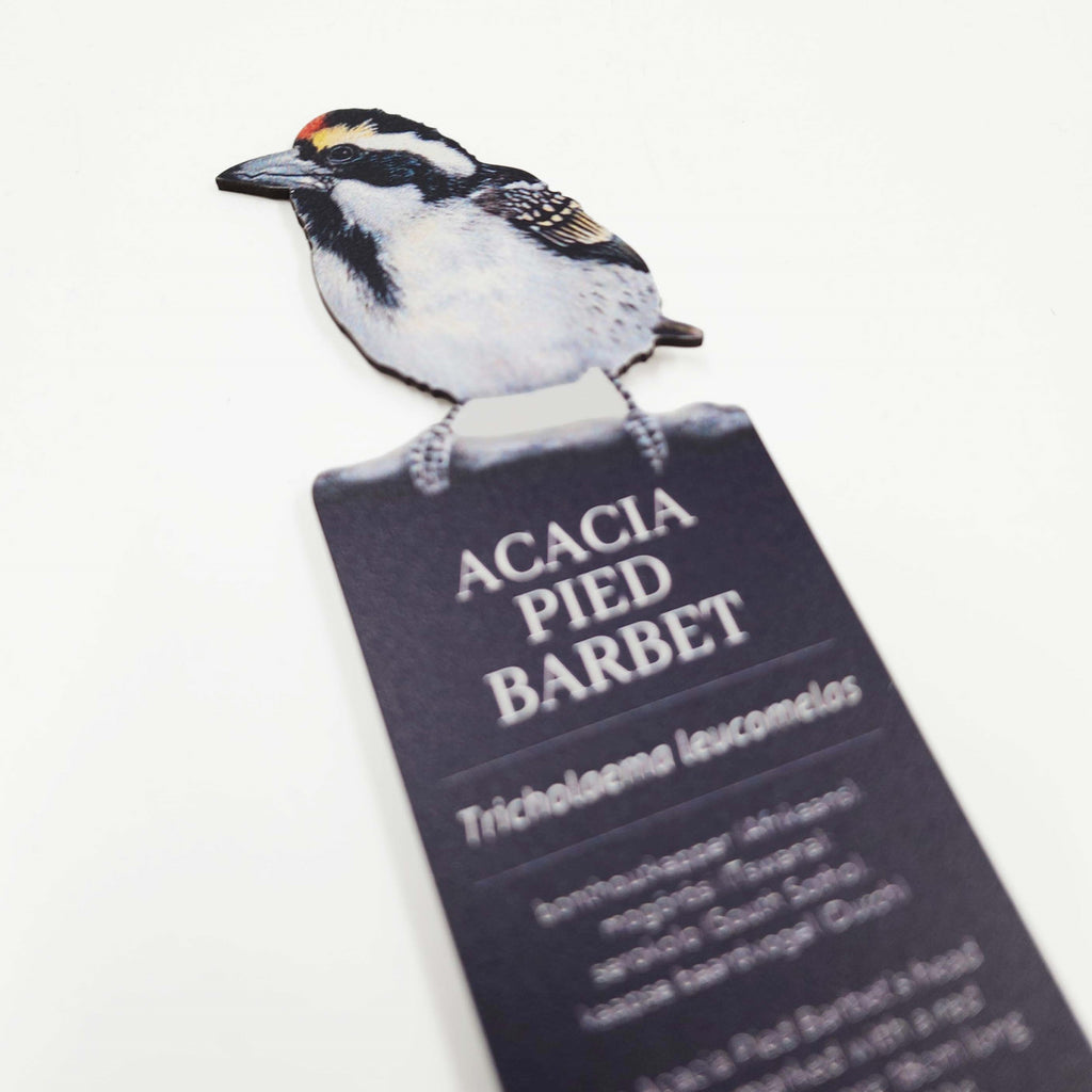 South African birds premium quality gift wooden wildlife bookmark, Acacia Pied Barbet