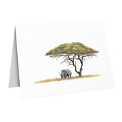 Acacia tree and white rhino wildlife art greeting card by Matthew Bell