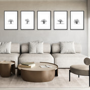 Five framed artworks by Matthew Bell of African Baobab Trees hanging on a wall, and also for sale at the Matthew Bell Wildlife art gallery in Cape Town