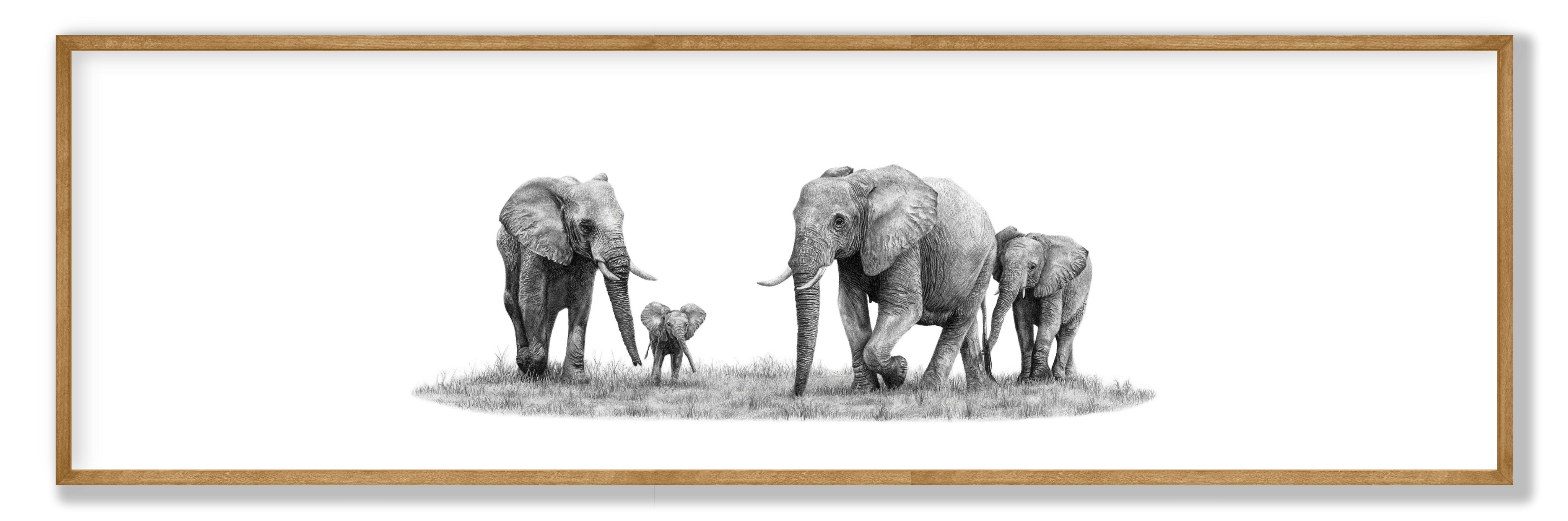 Framed elephant panorama wildlife print showcasing Matthew Bell’s detailed drawing of iconic African elephants.
