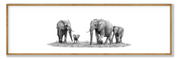 Framed elephant panorama wildlife print showcasing Matthew Bell’s detailed drawing of iconic African elephants.