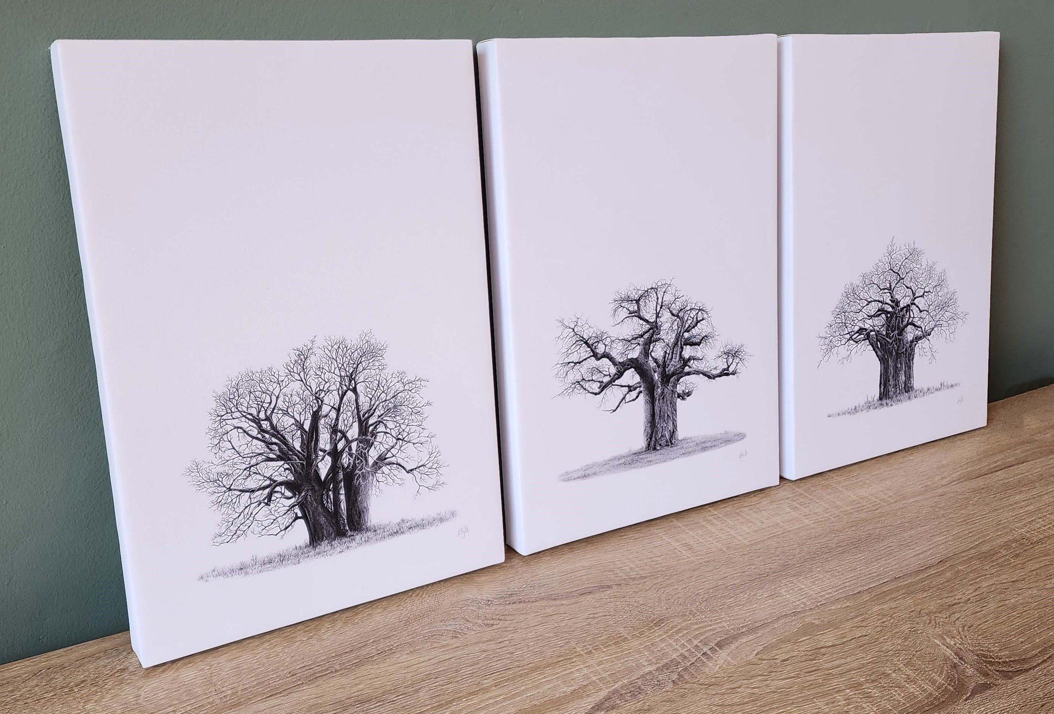 African Baobab Trees canvas tryptic, wildlife art by Matthew Bell