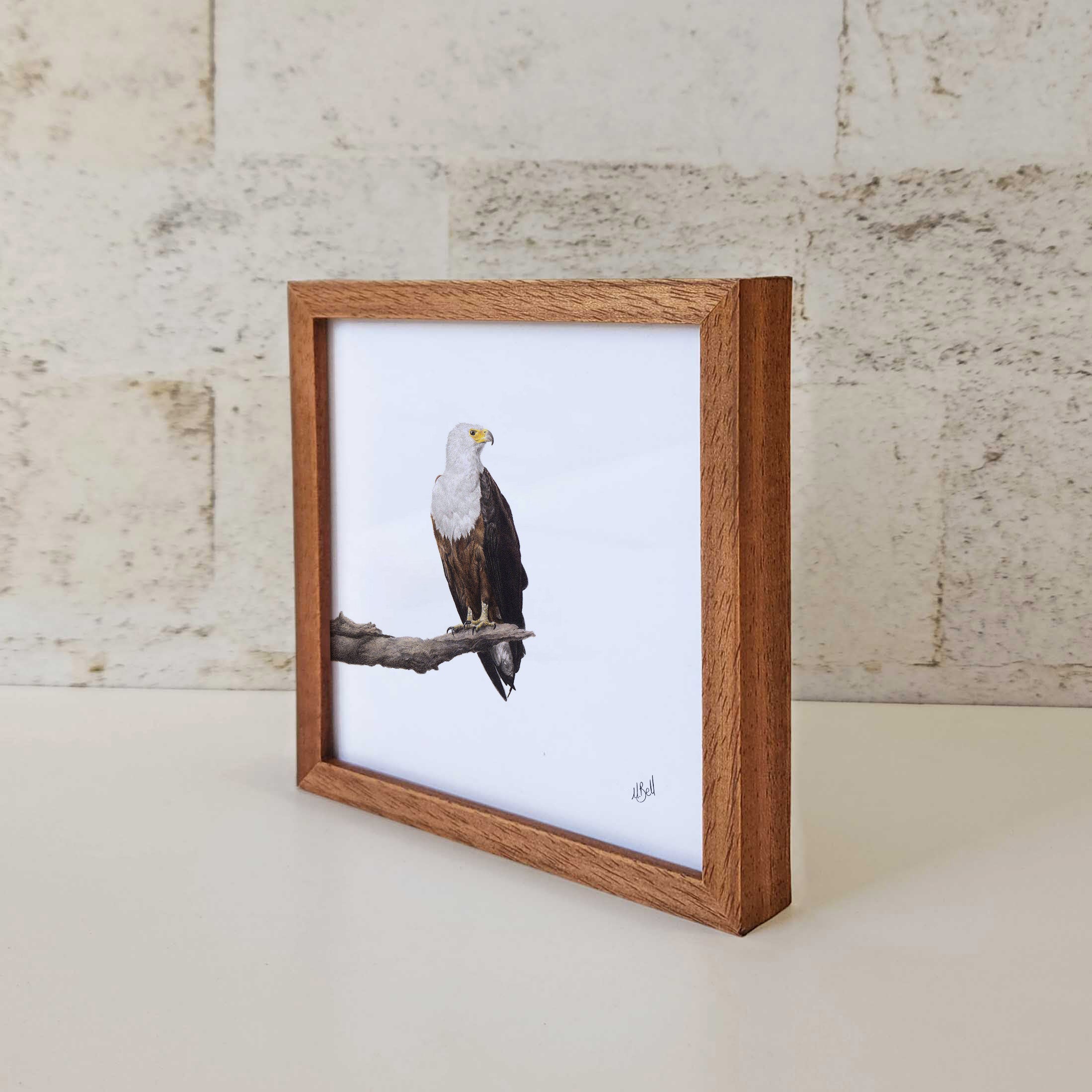 Kiaat wood framed miniature artwork of a African Fish Eagle, part of wildlife artist Matthew Bell's birds of South Africa gallery