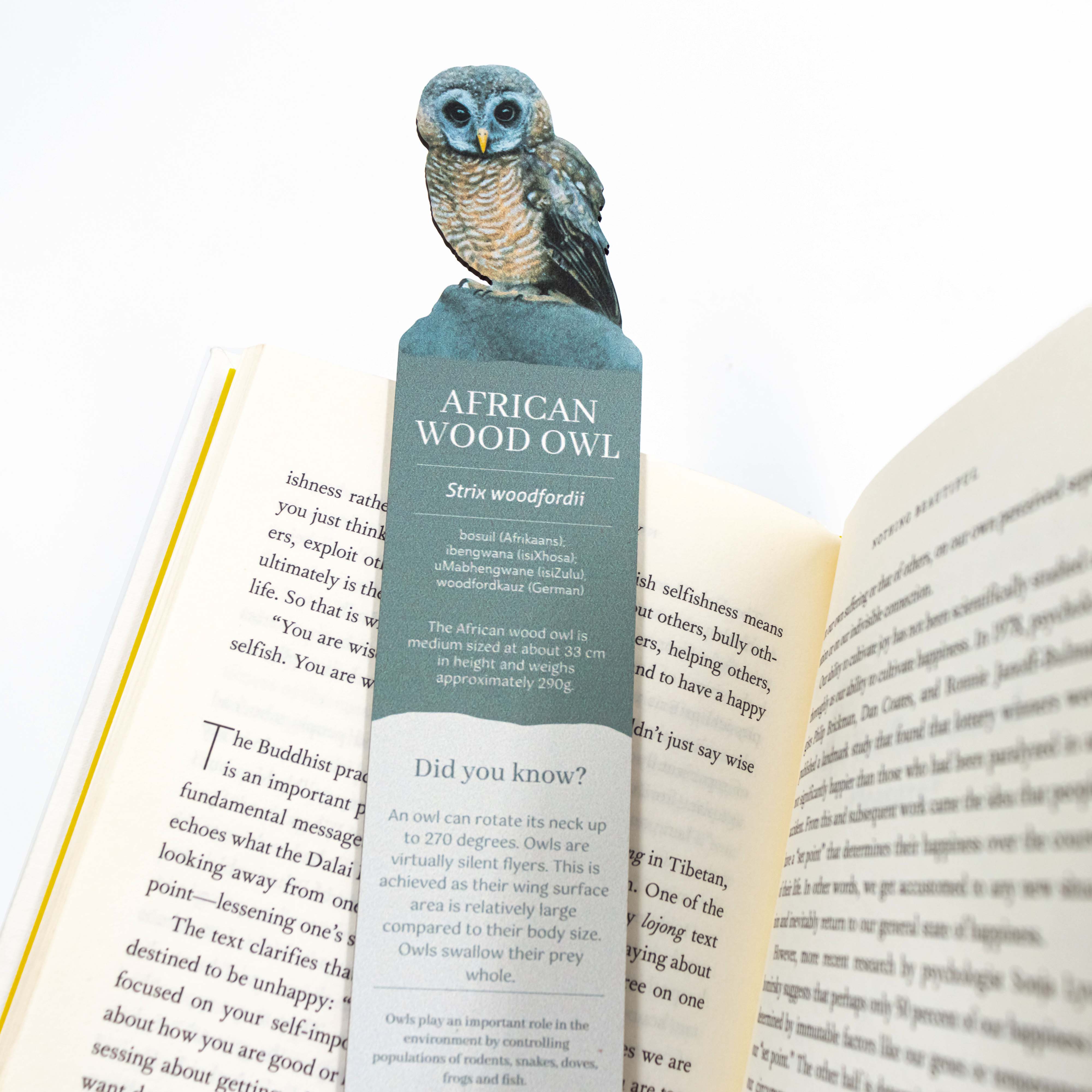 African Wood Owl Wooden Bookmark