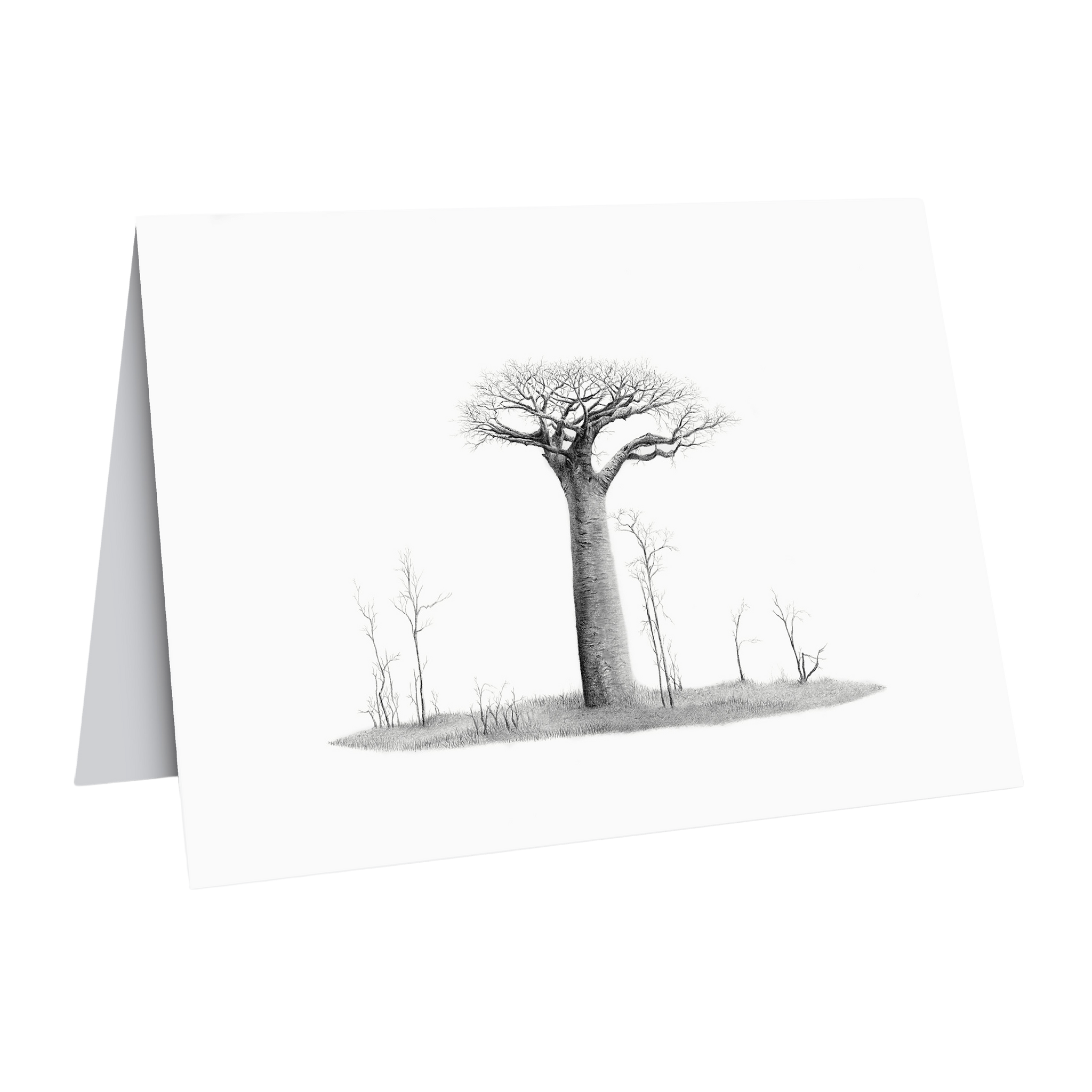 African Baobab Tree Gift Card wildlife art Matthew Bell