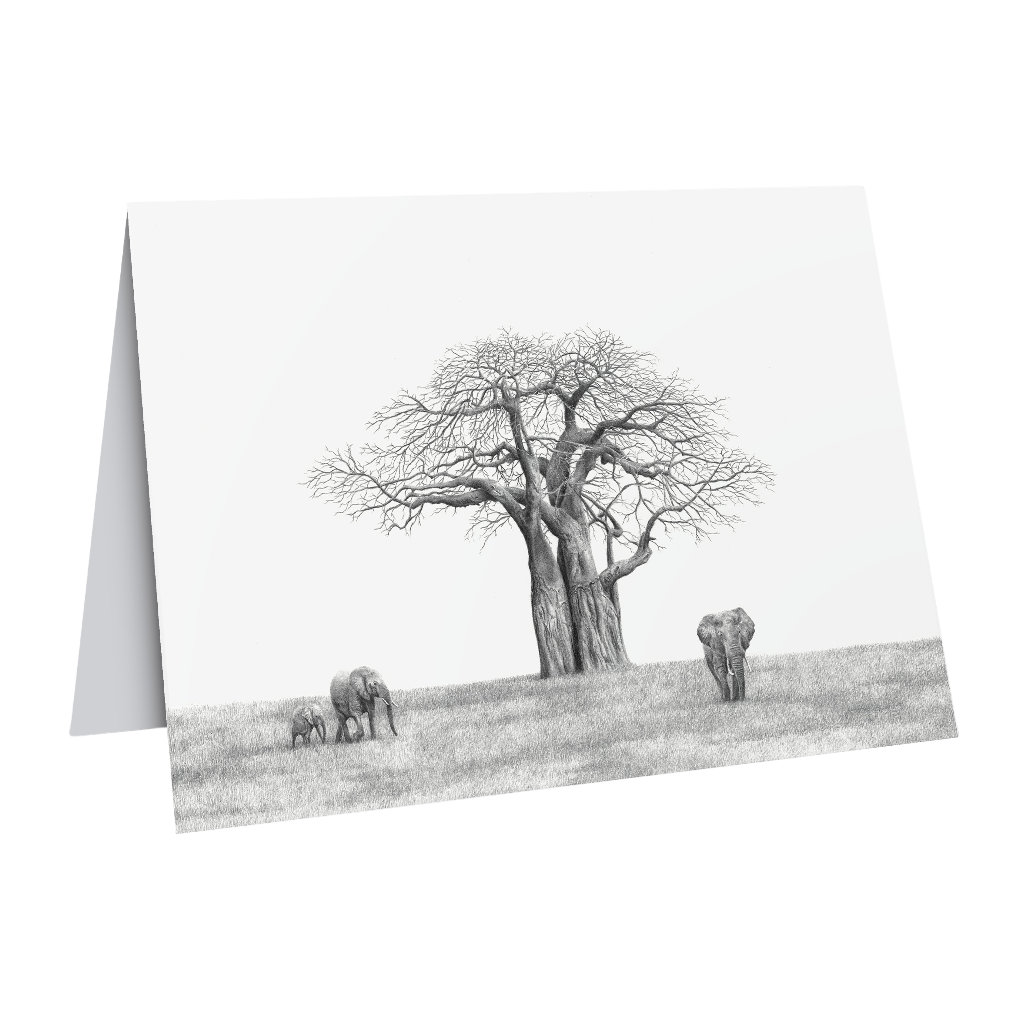 Baobab tree and African elephants greeting card wildlife art
