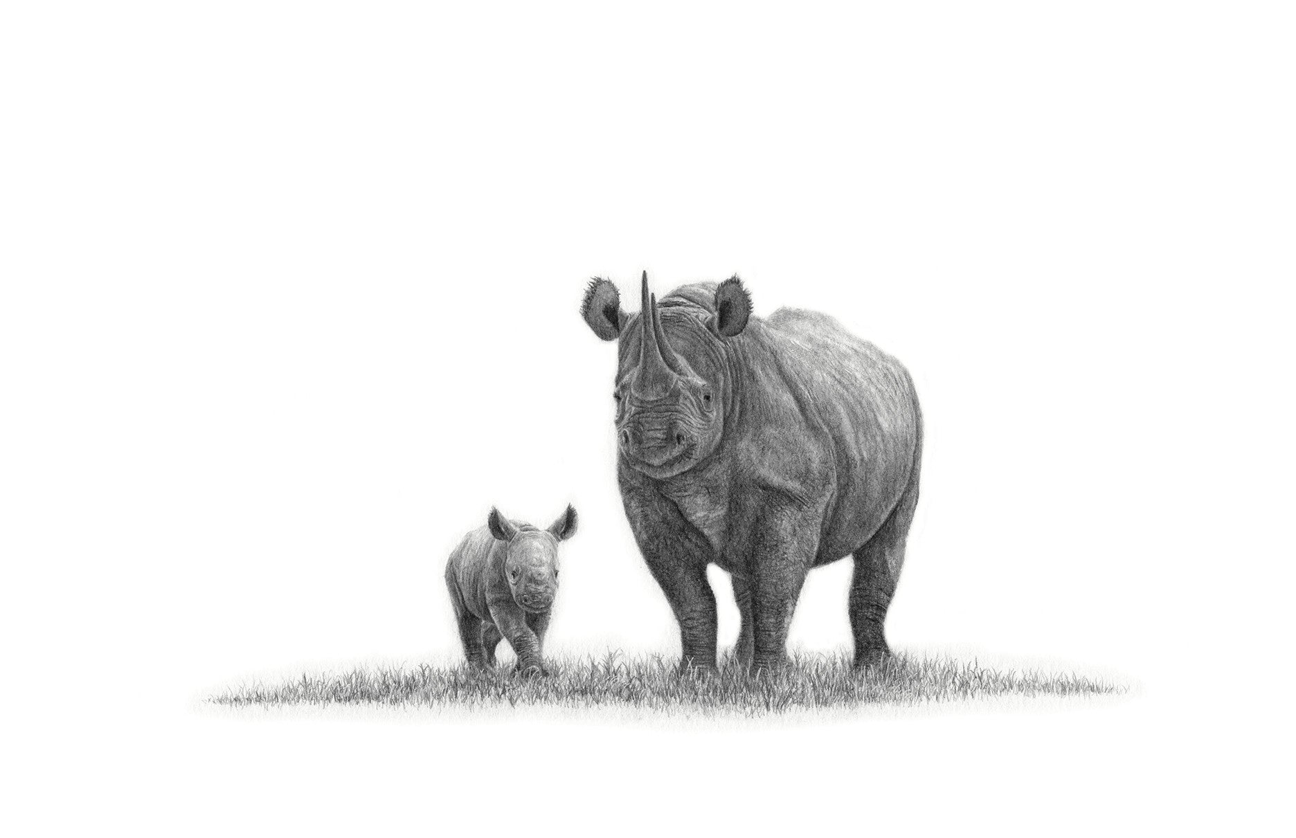 African black rhinos artwork on canvas