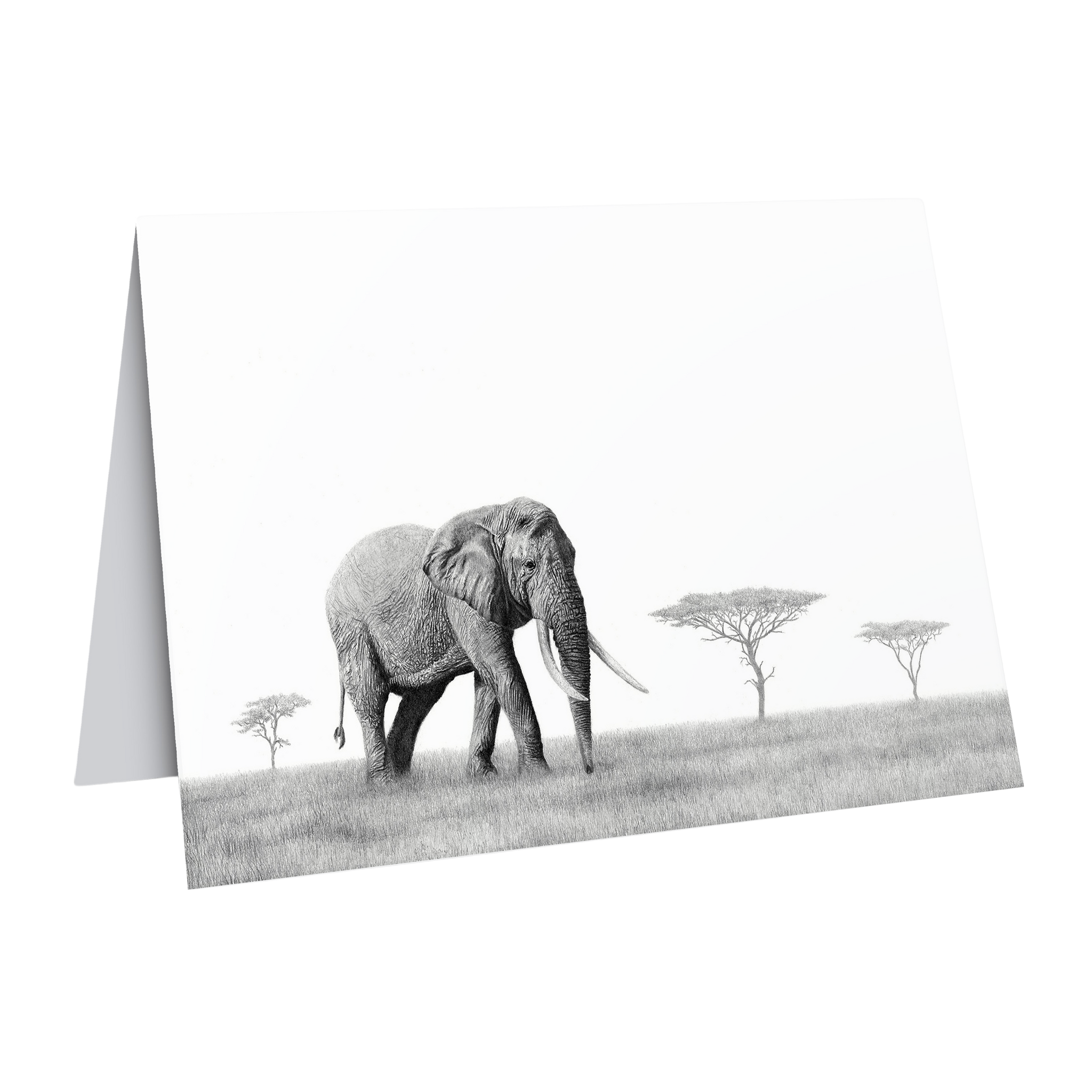 Elephant wildlife art greeting card by artist Matthew Bell