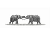 African elephants playing canvas artwork by Matthew Bell