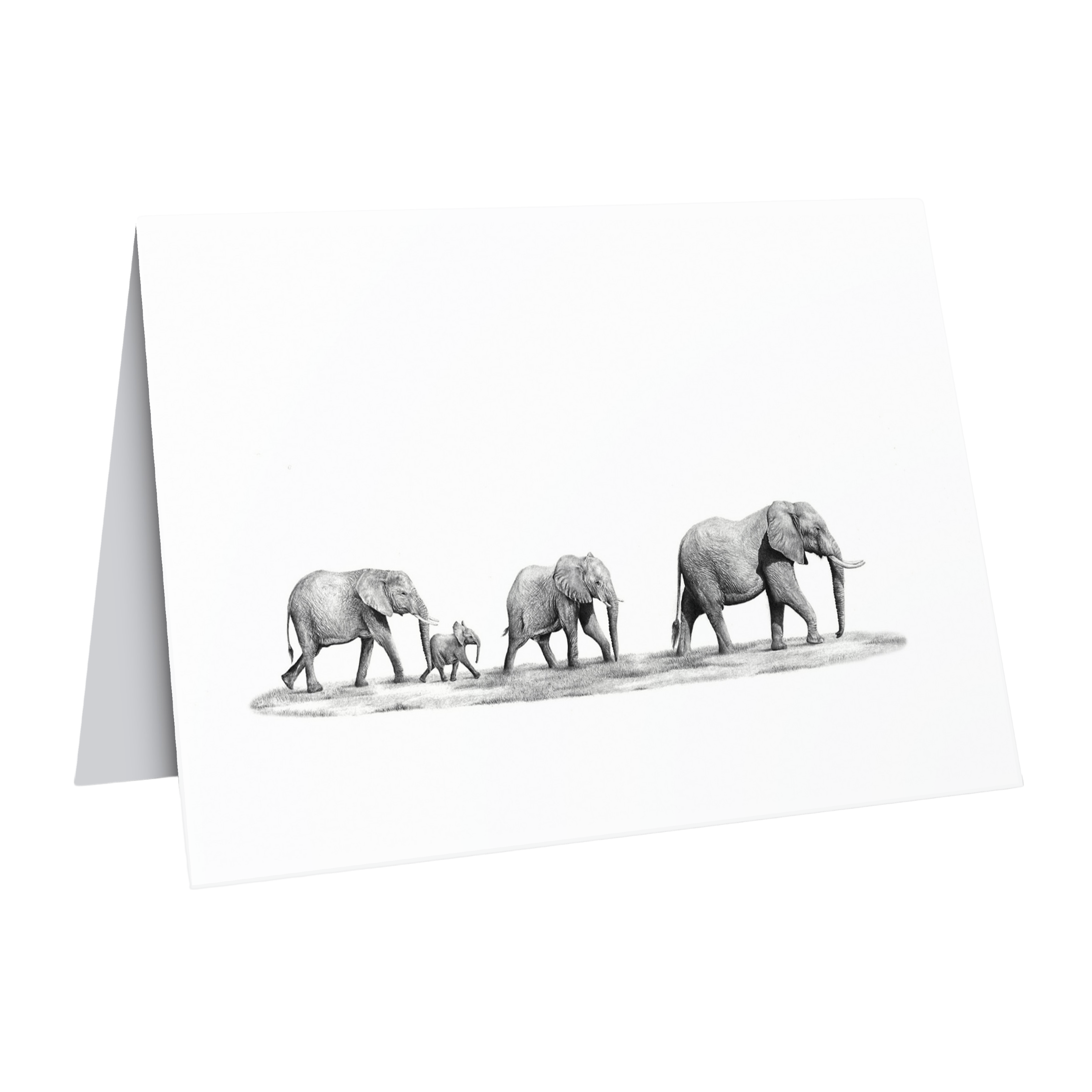 African elephants greeting card