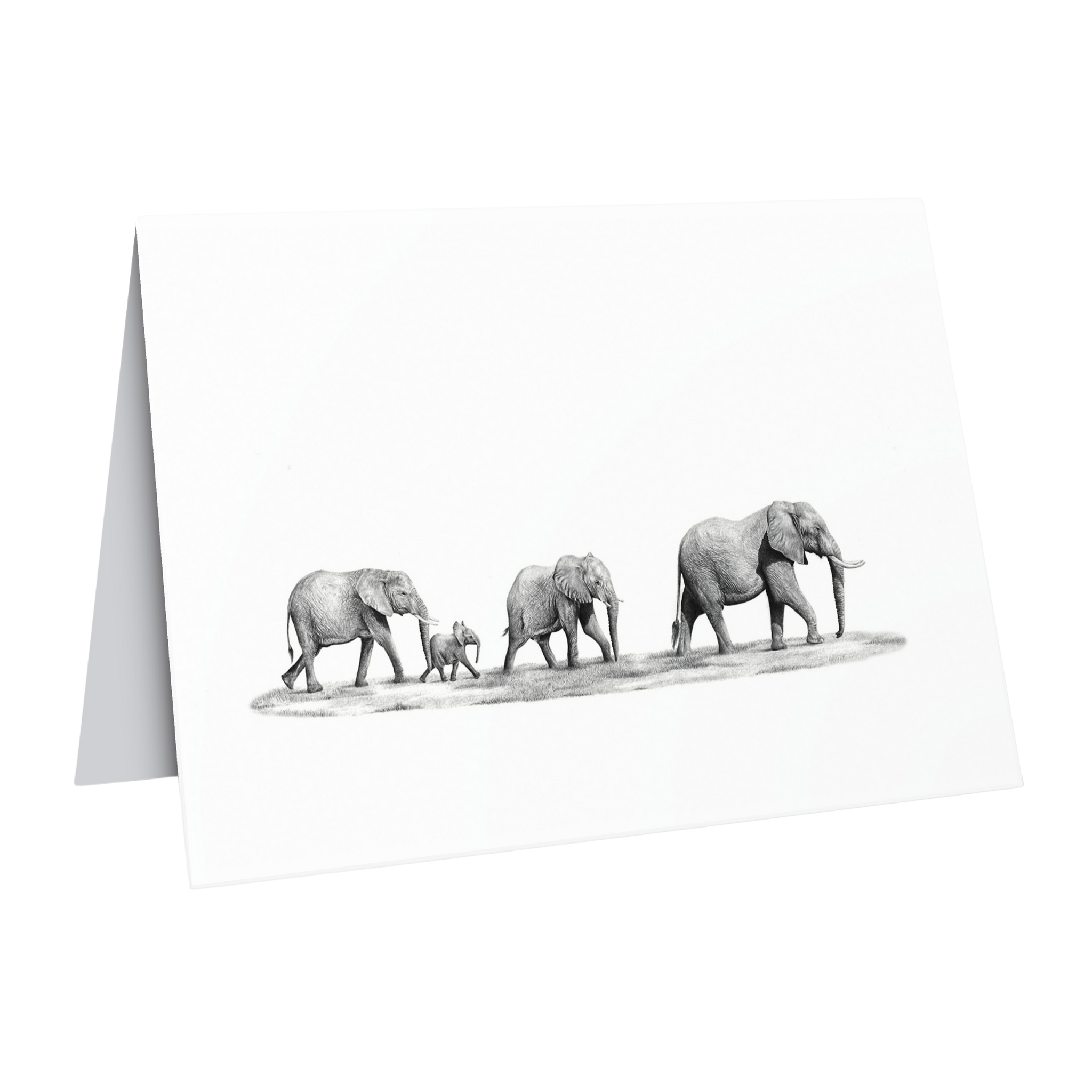 African elephants greeting card