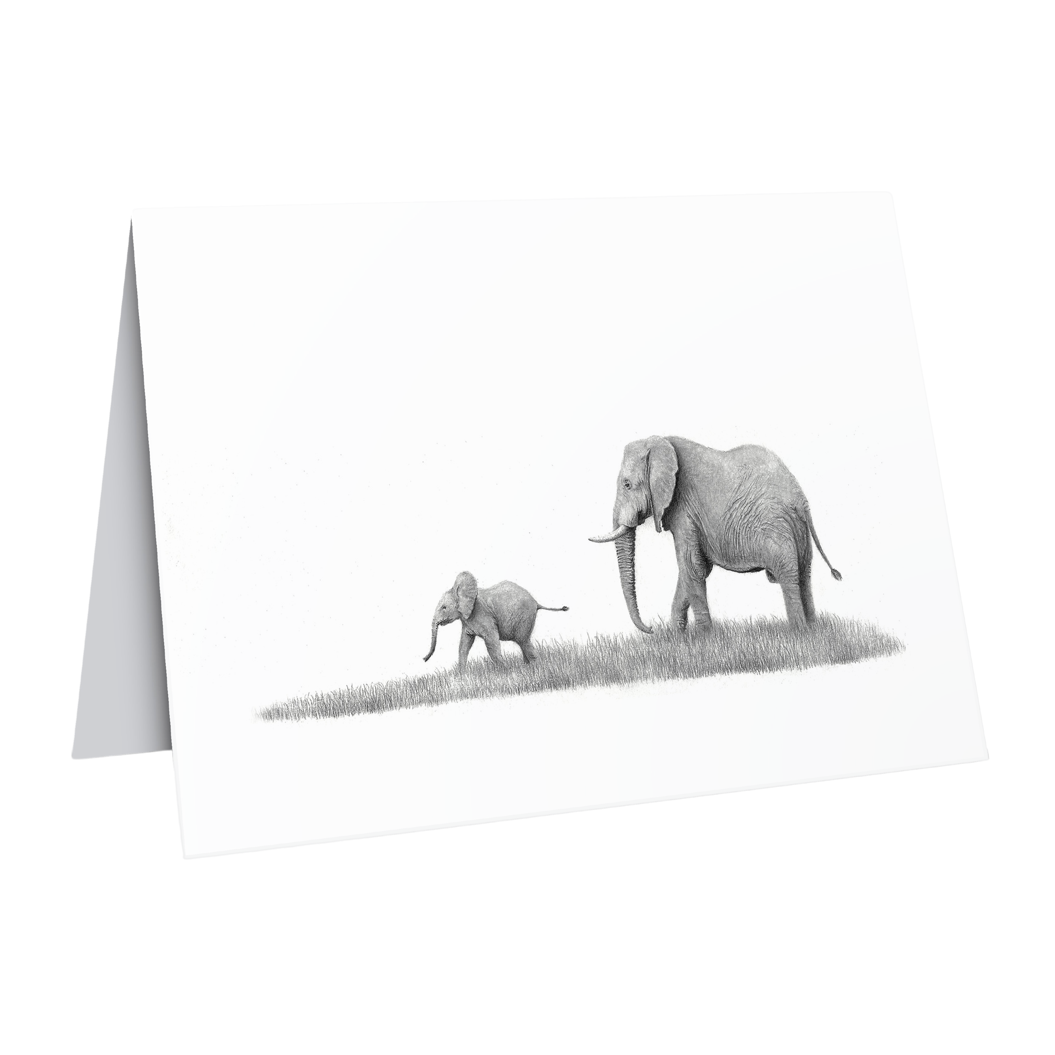 African Elephants greeting card