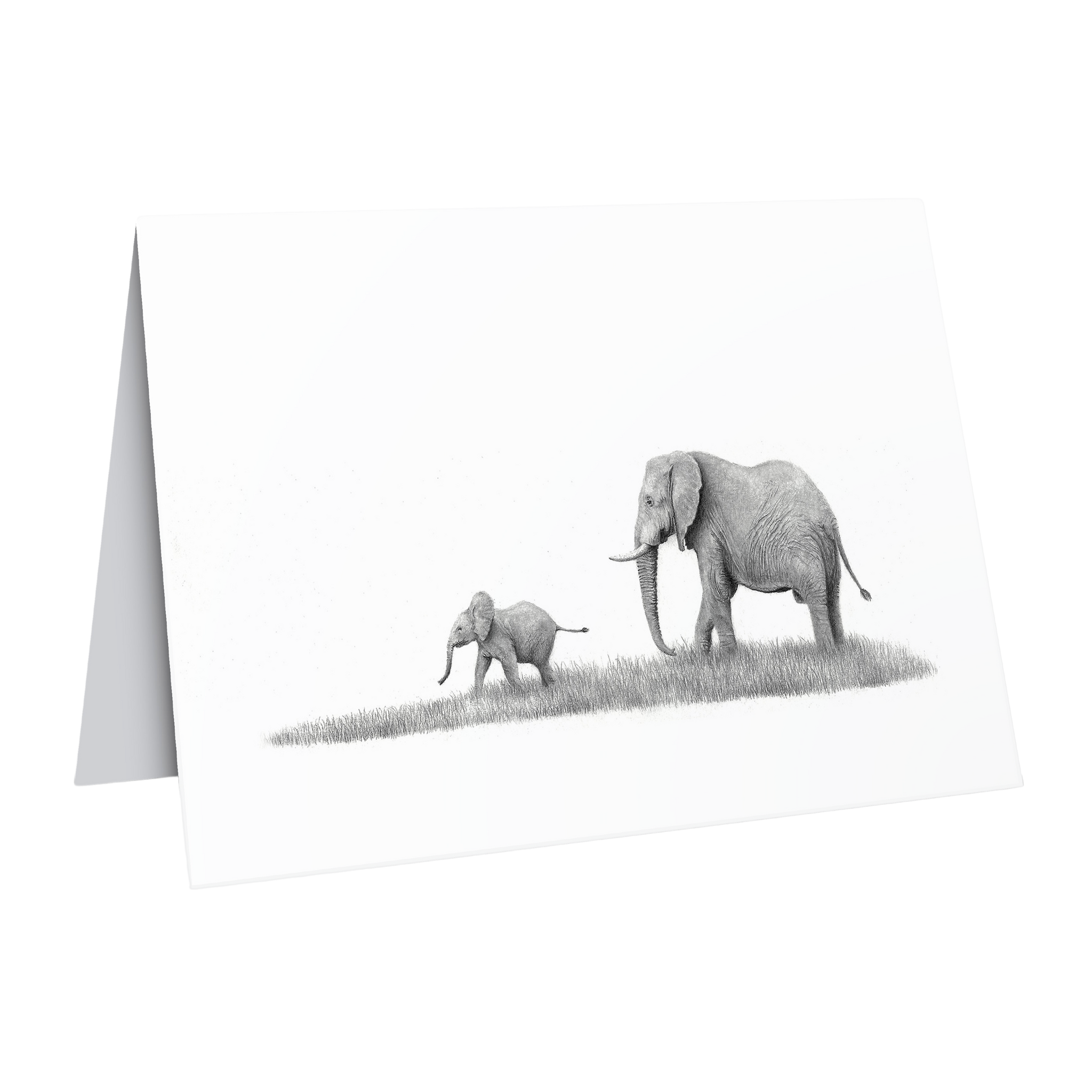 African Elephants greeting card