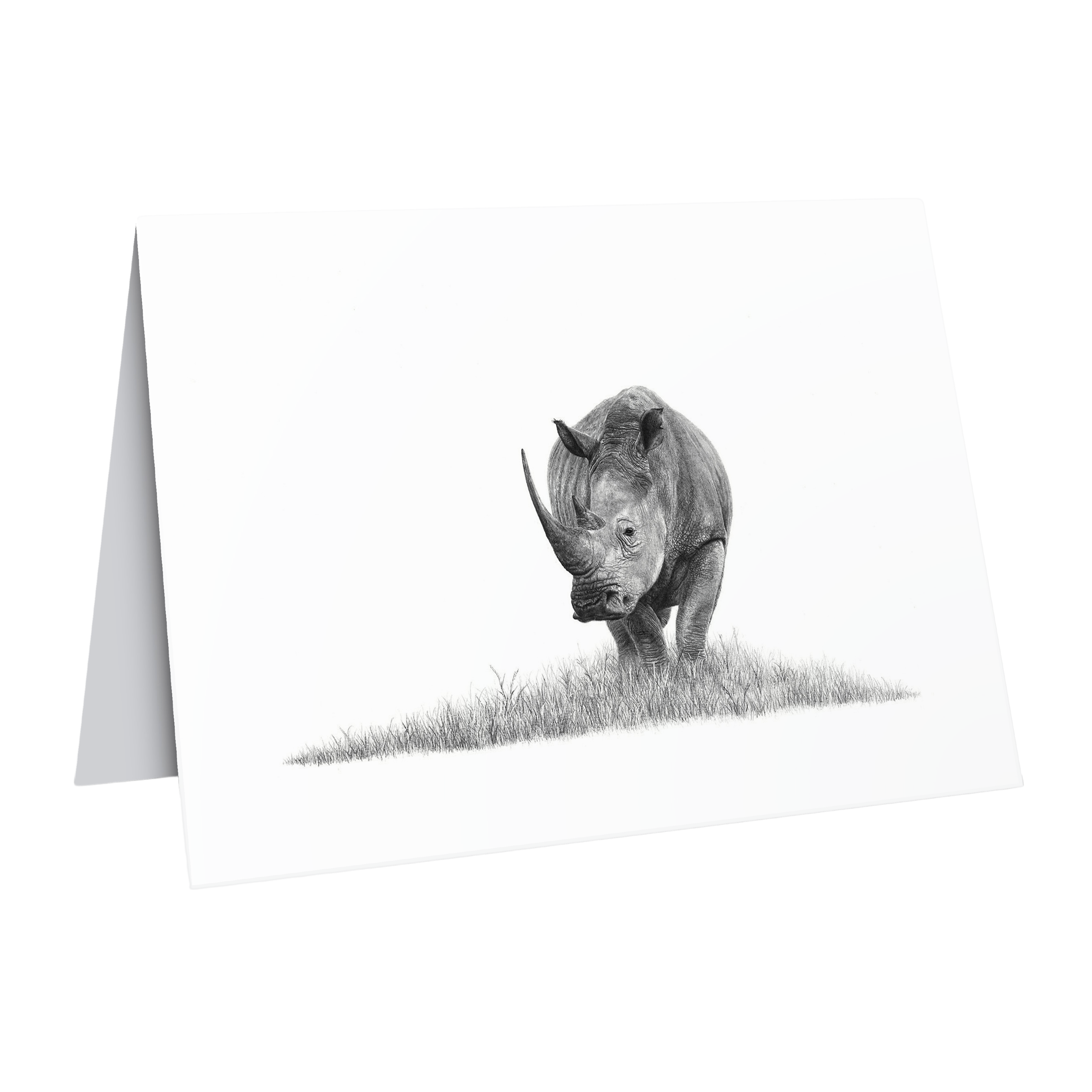 Beautiful fine art South African nature wildlife greeting card of a White Rhino