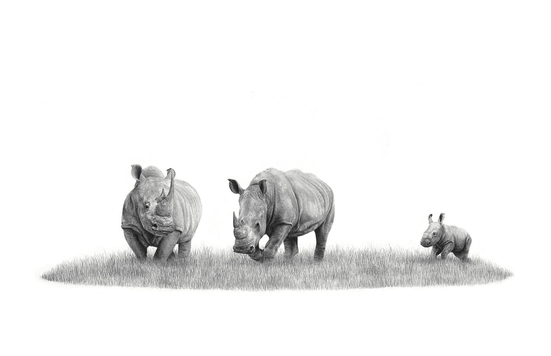 Canvas artwork on a wooden frame  by South African wildlife nature artist Matthew Bell of three African White Rhinos
