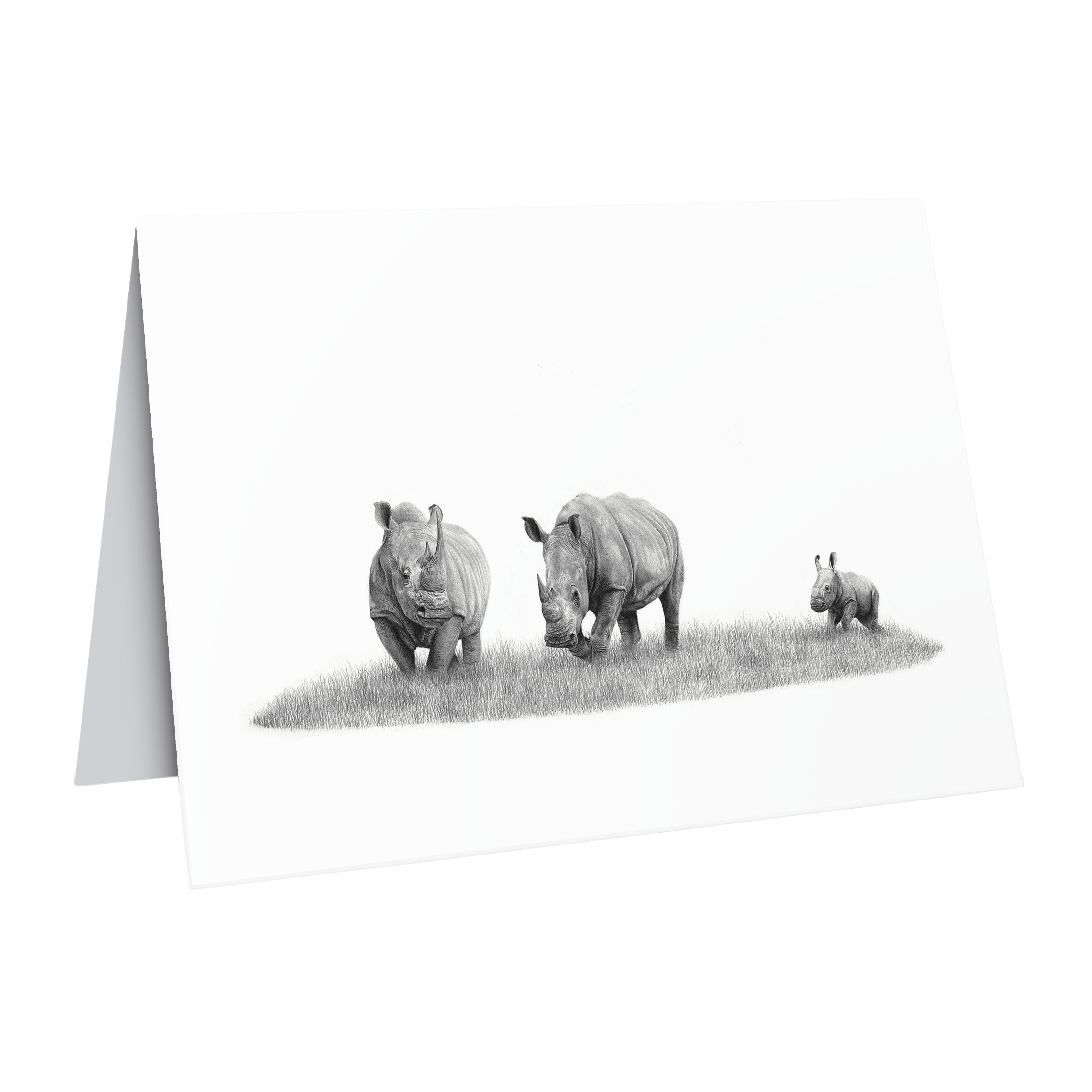 Beautiful fine art South African nature wildlife greeting card of a Family of white rhinos