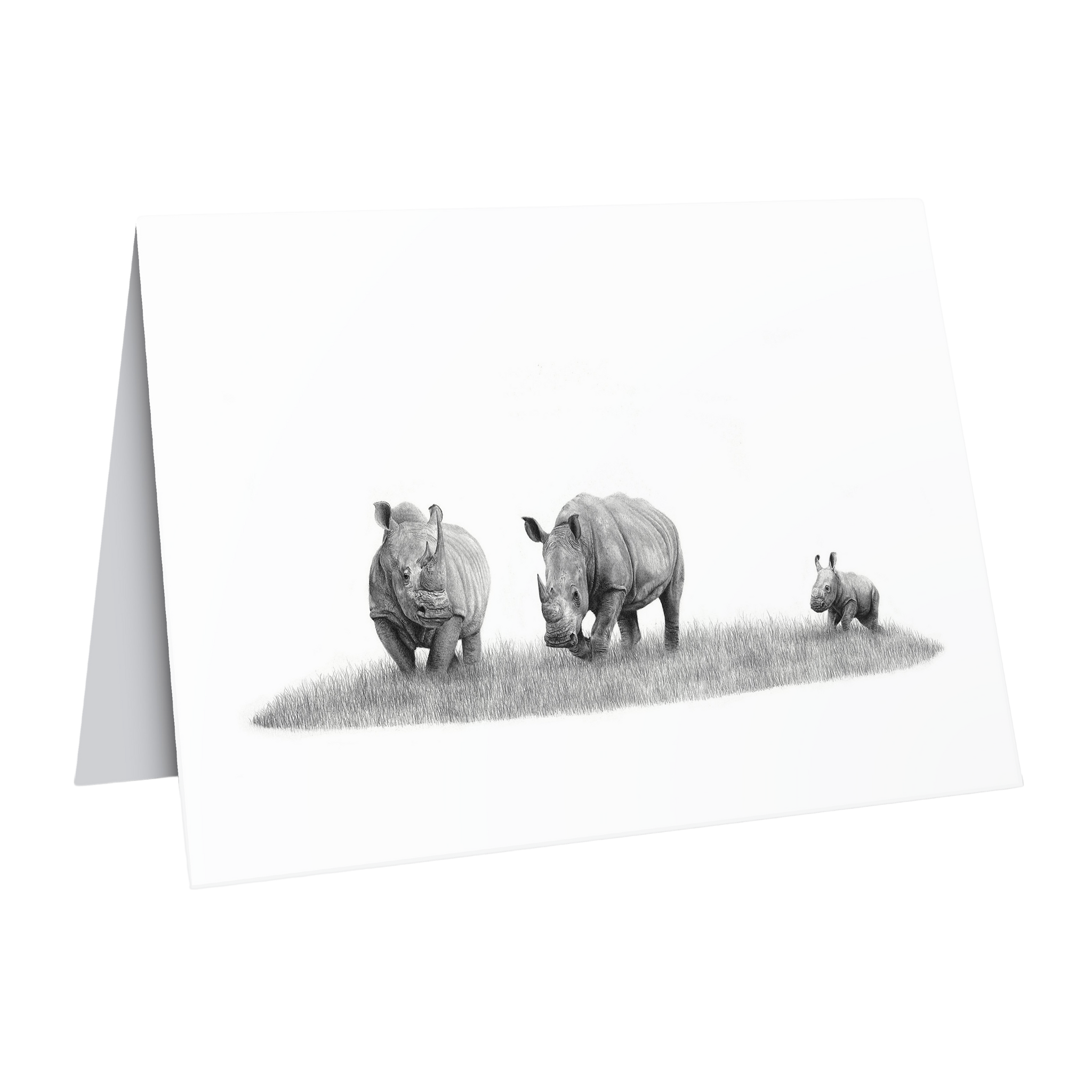 Beautiful fine art South African nature wildlife greeting card of a Family of white rhinos