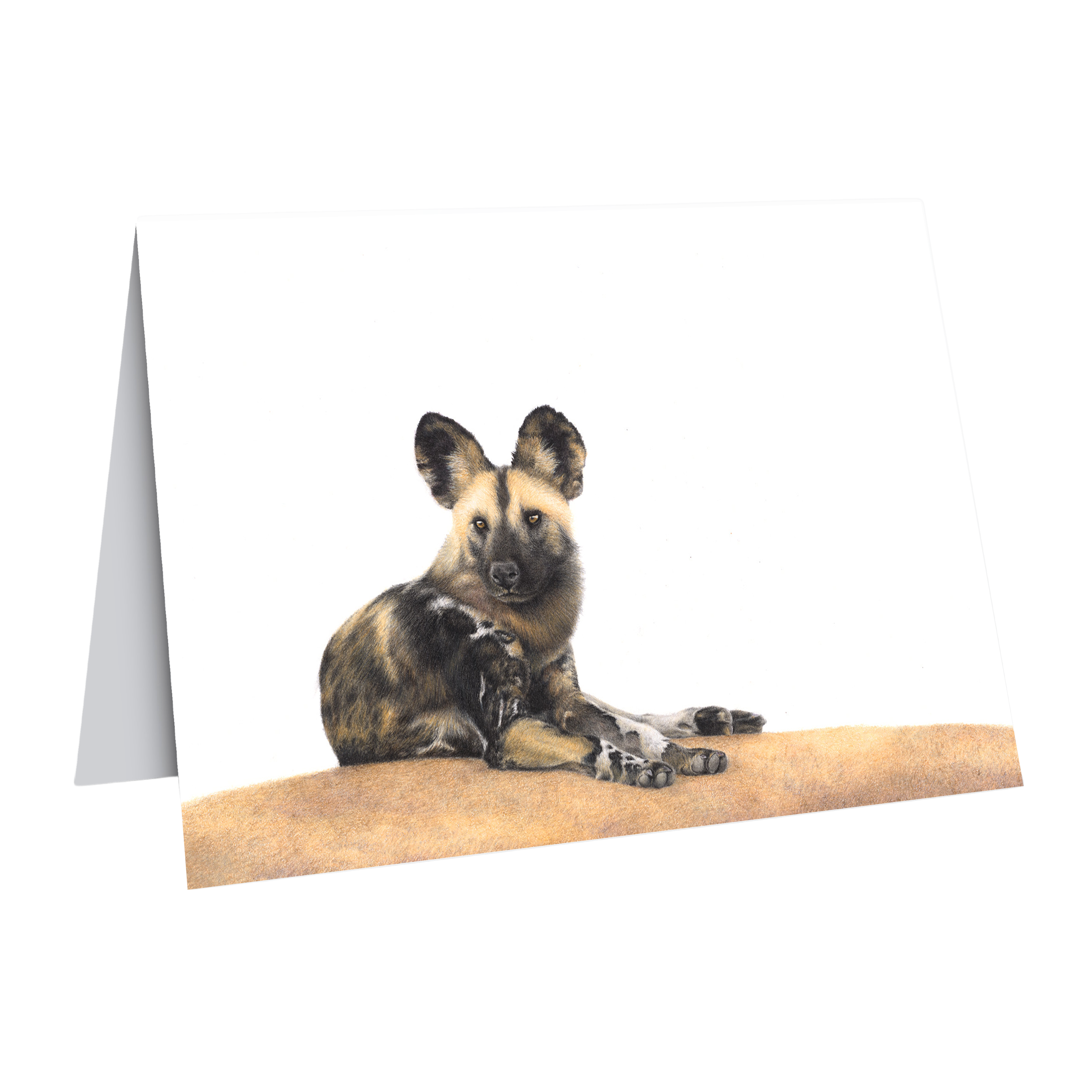 African wild dog gift card by wildlife artist Matthew Bell