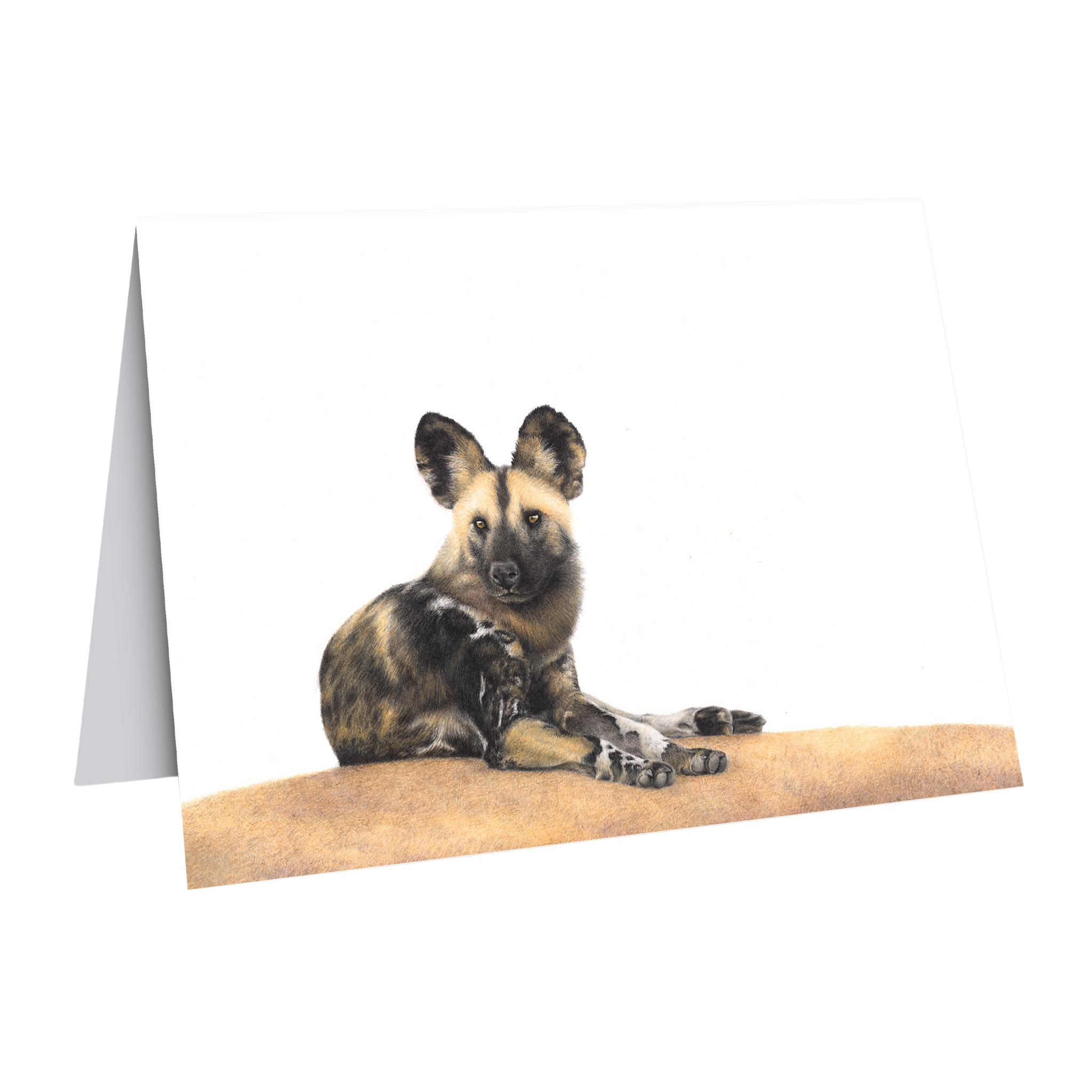 African wild dog gift card by wildlife artist Matthew Bell