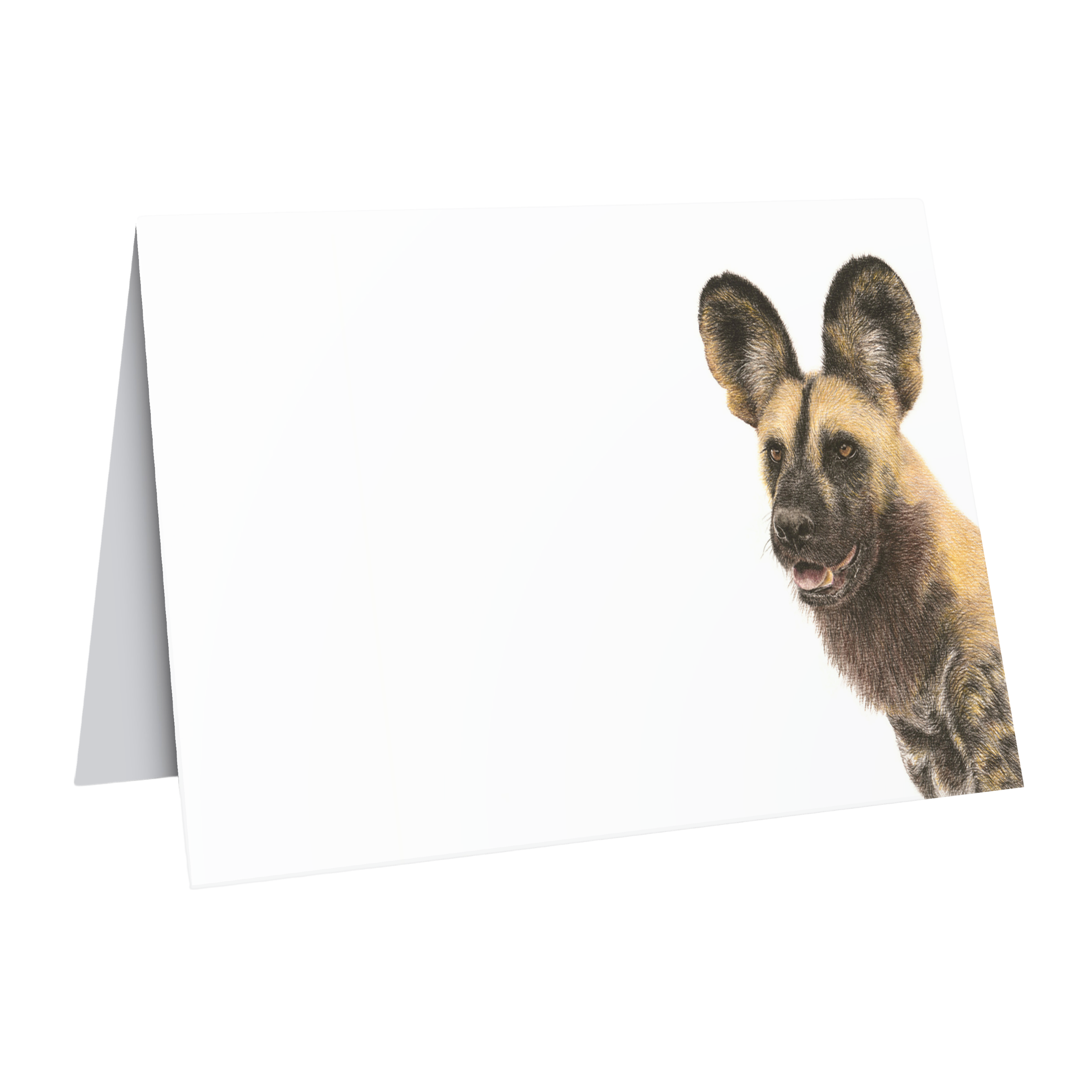 Fine art wildlife greeting card by Matthew Bell