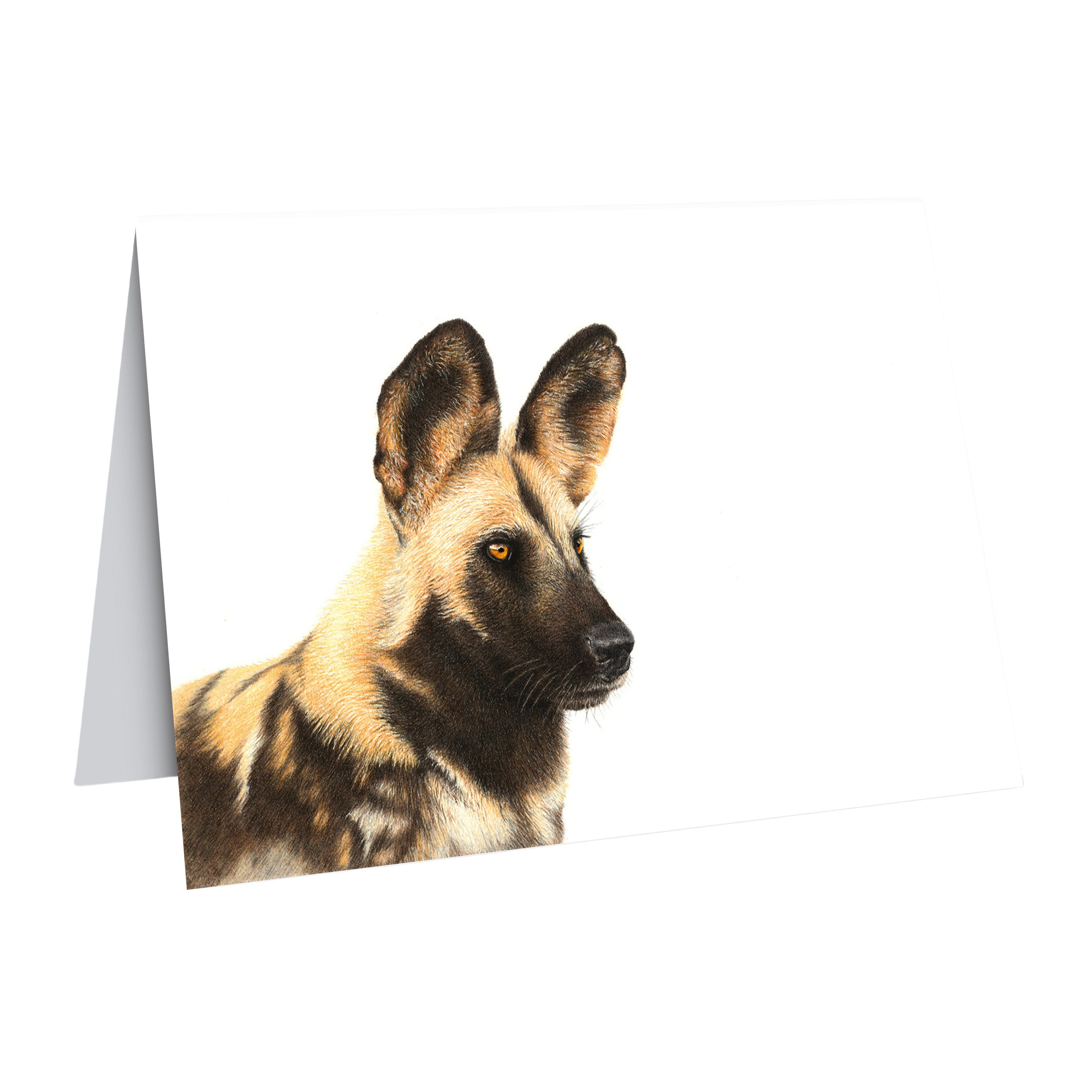 African Wild Dog wildlife art greeting card by Matthew Bell