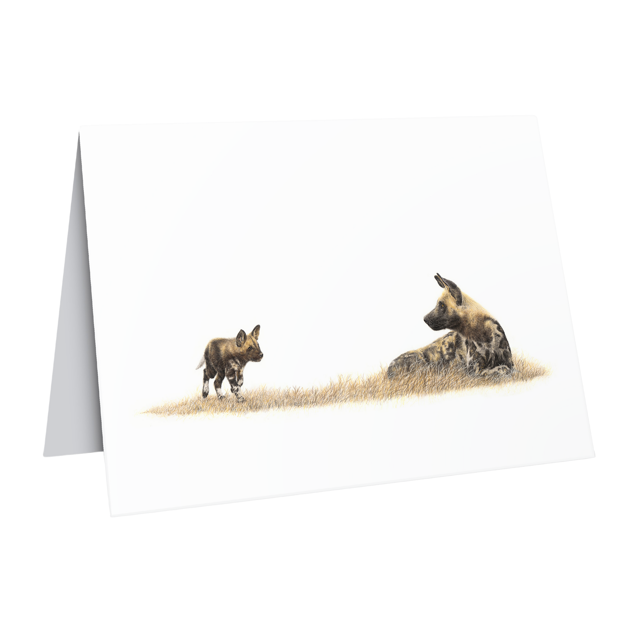 Wildlife fine art greeting card African wild dogs