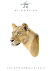 Lioness Magnet - LN6