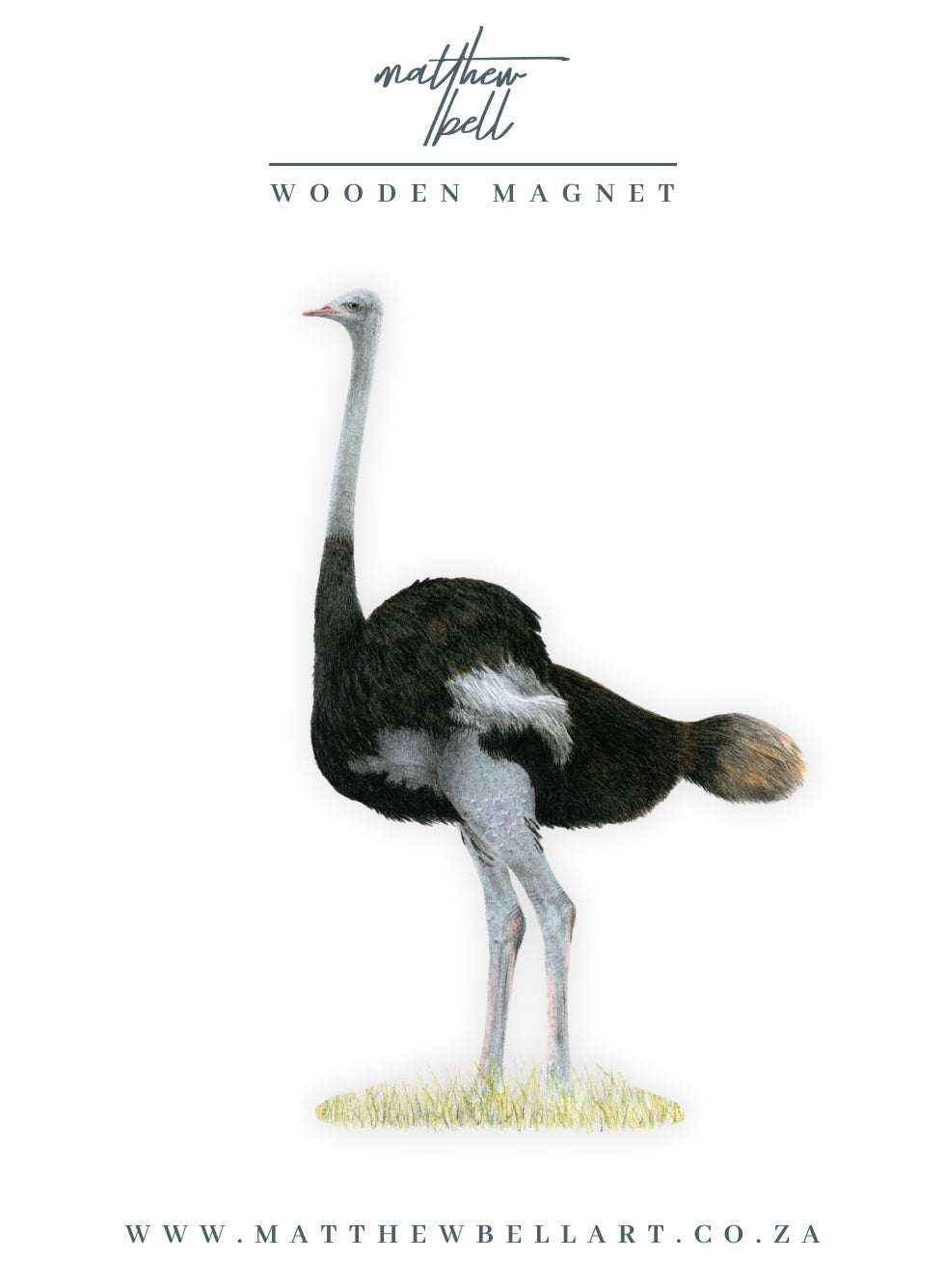 Ostrich Magnet - OST