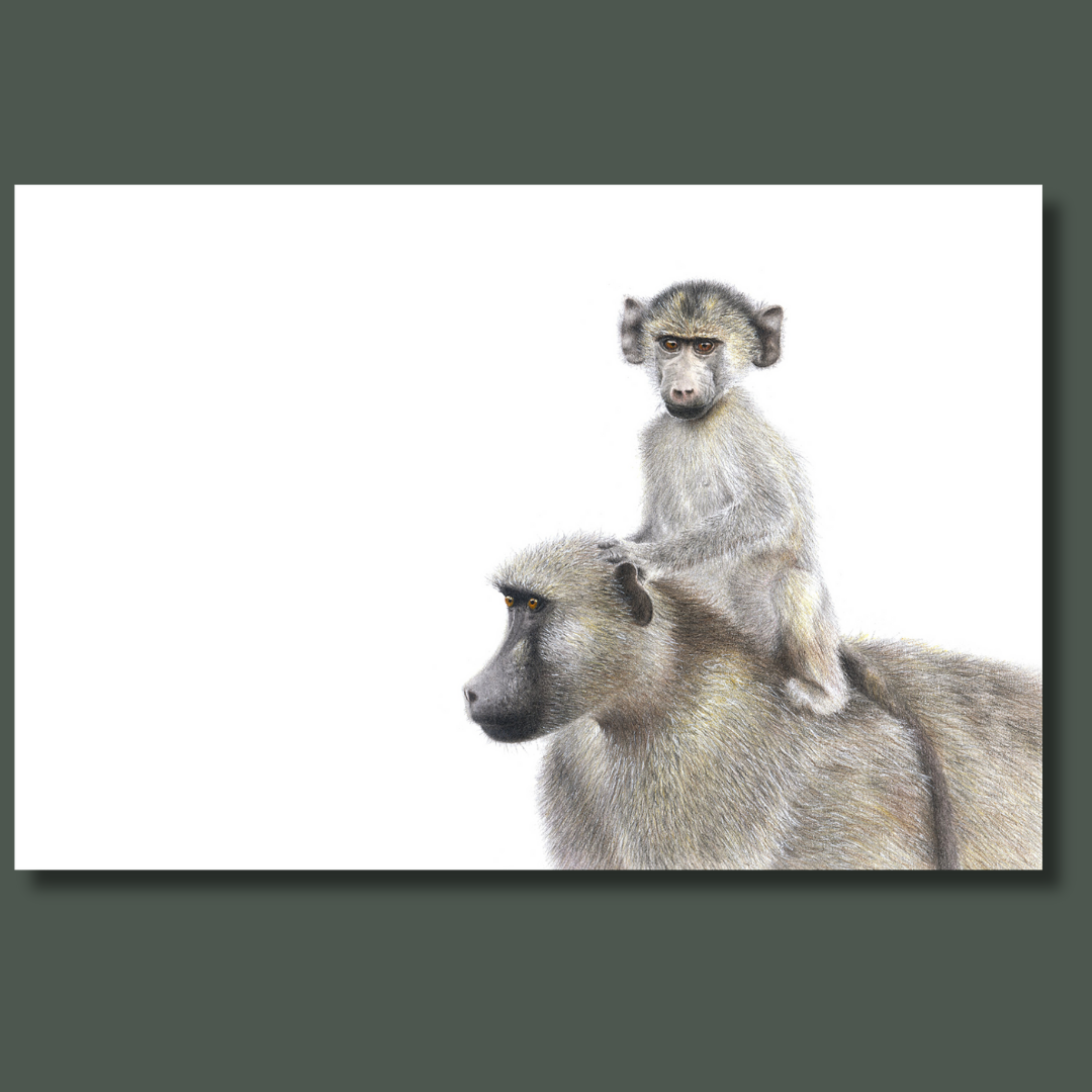 Mother and baby baboons in Kruger National Park wildlife art print on canvas